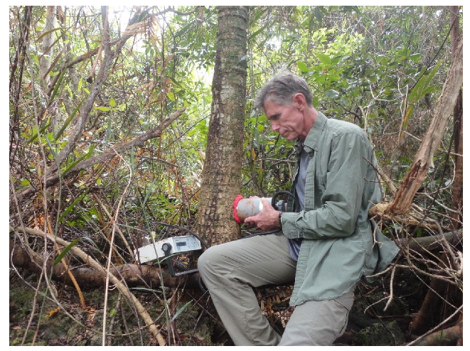 Plants 09 00230 g005