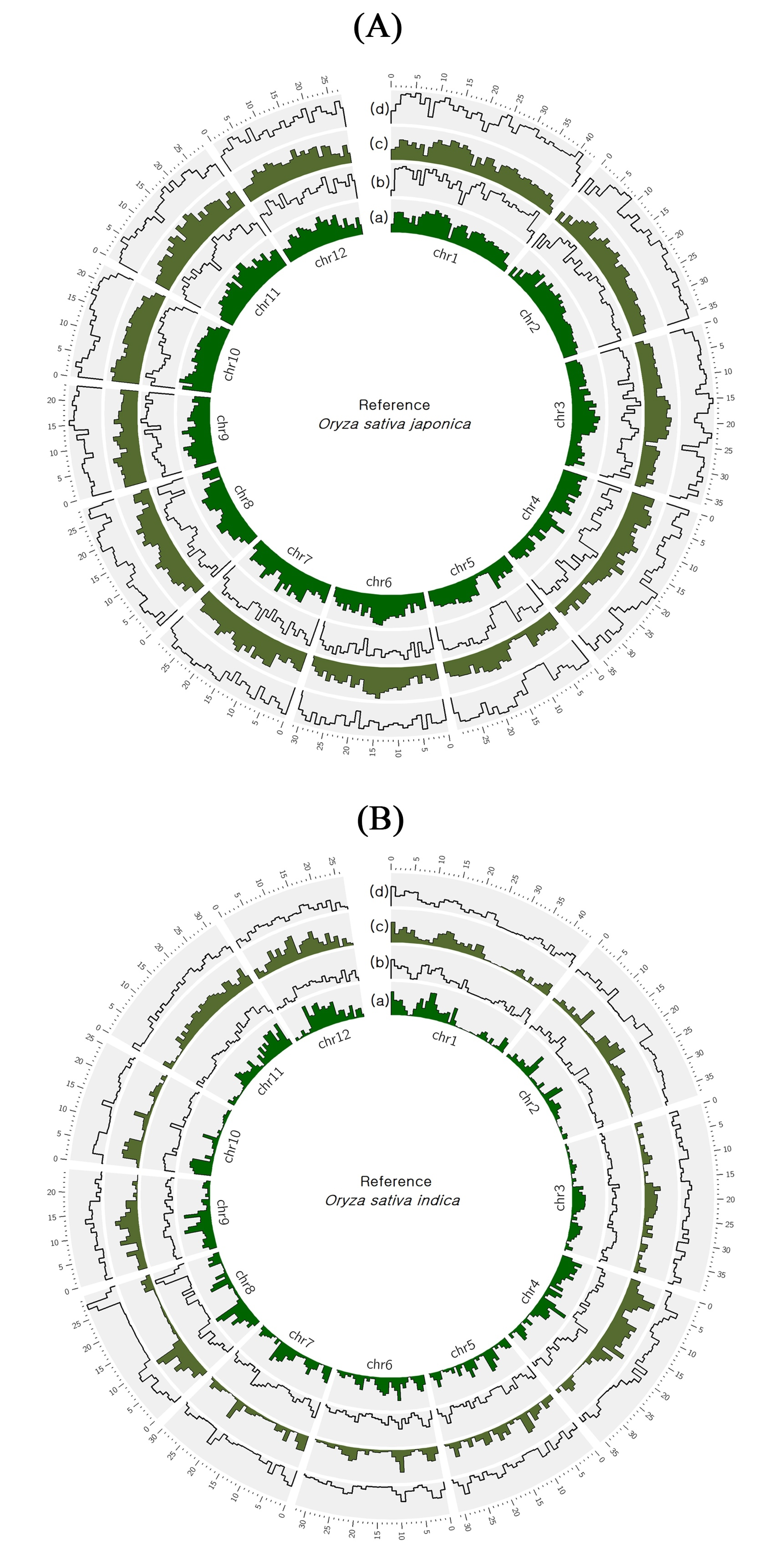 Plants 09 00233 g001 Plants 09 00233 g001