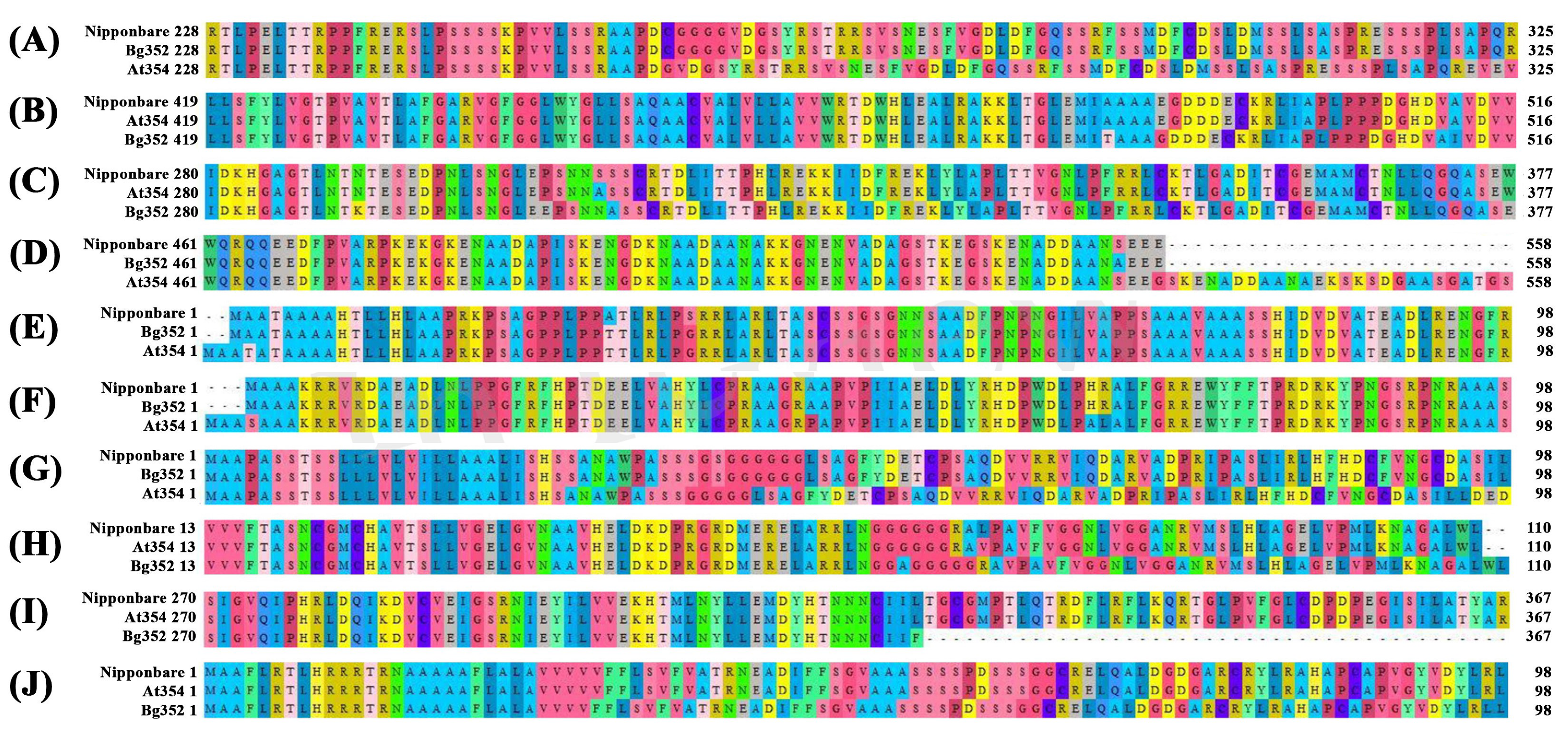 Plants 09 00233 g003 Plants 09 00233 g003