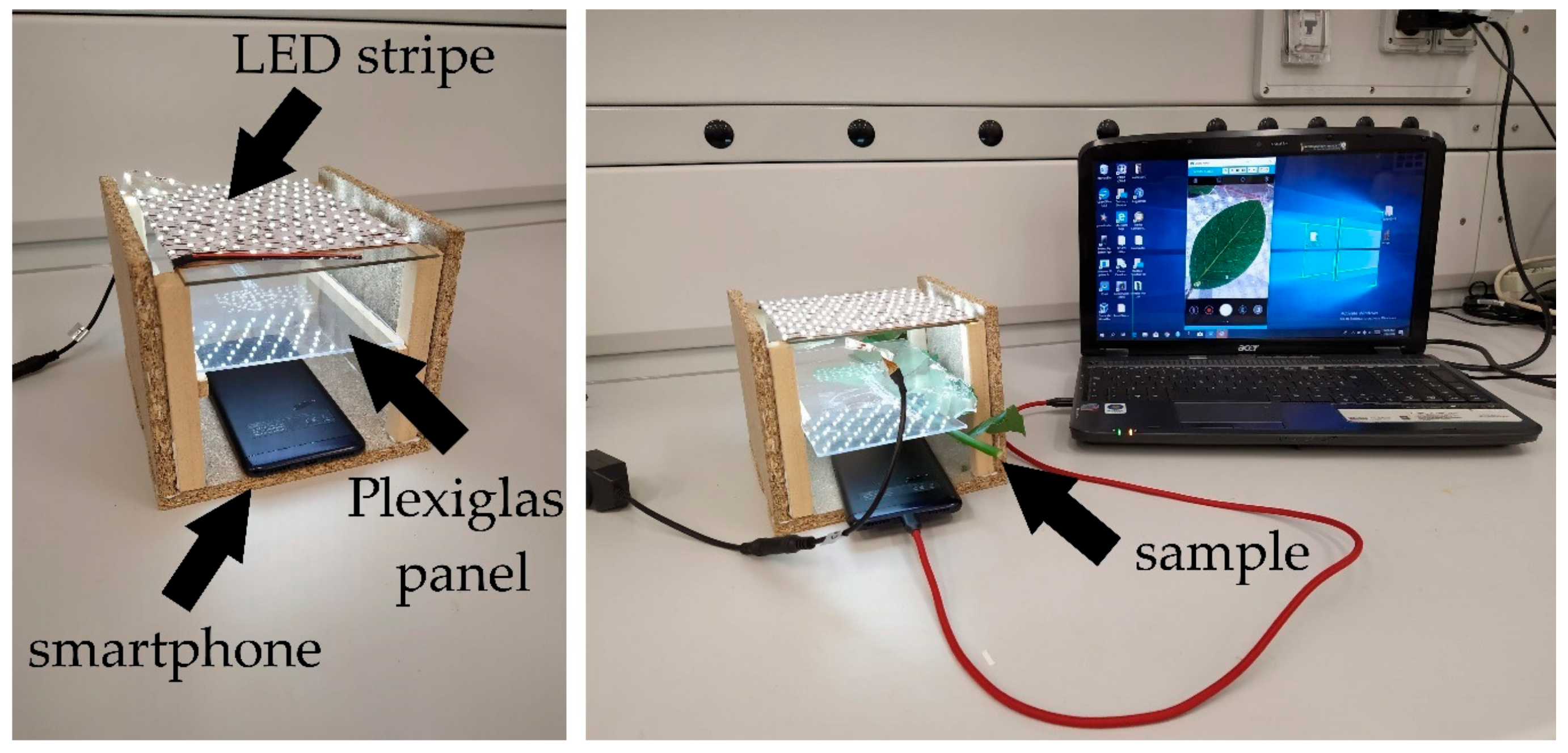 Plants 09 00234 g001