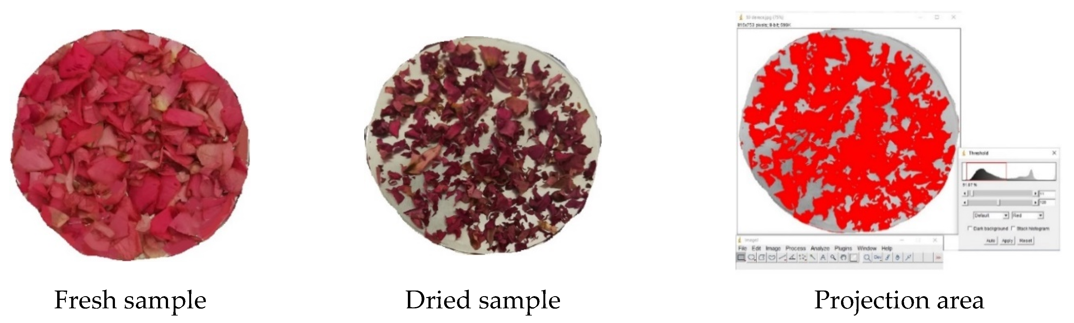 Plants 09 00236 g005 Plants 09 00236 g005