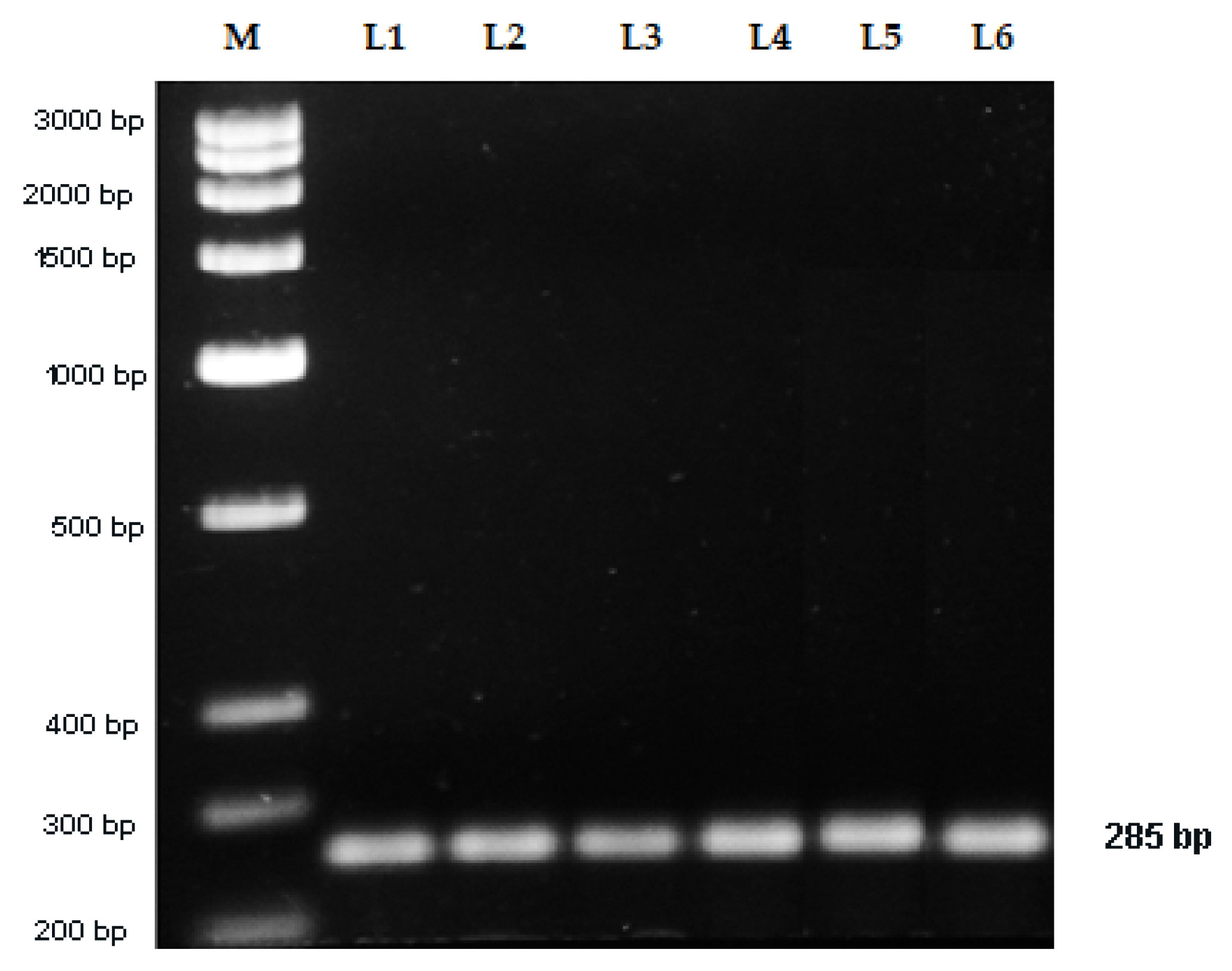 Plants 09 00246 g005 Plants 09 00246 g005