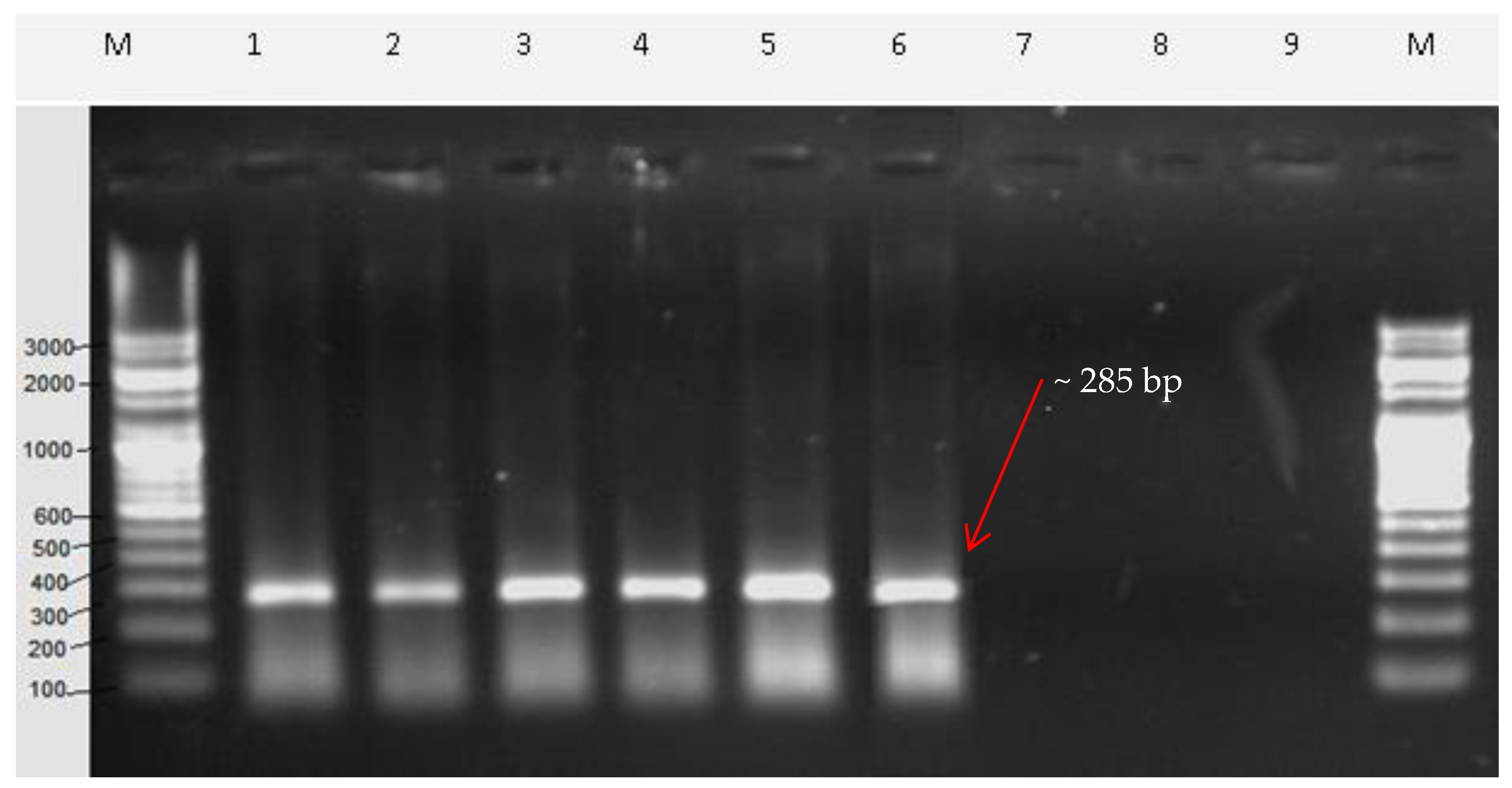 Plants 09 00246 g006 Plants 09 00246 g006