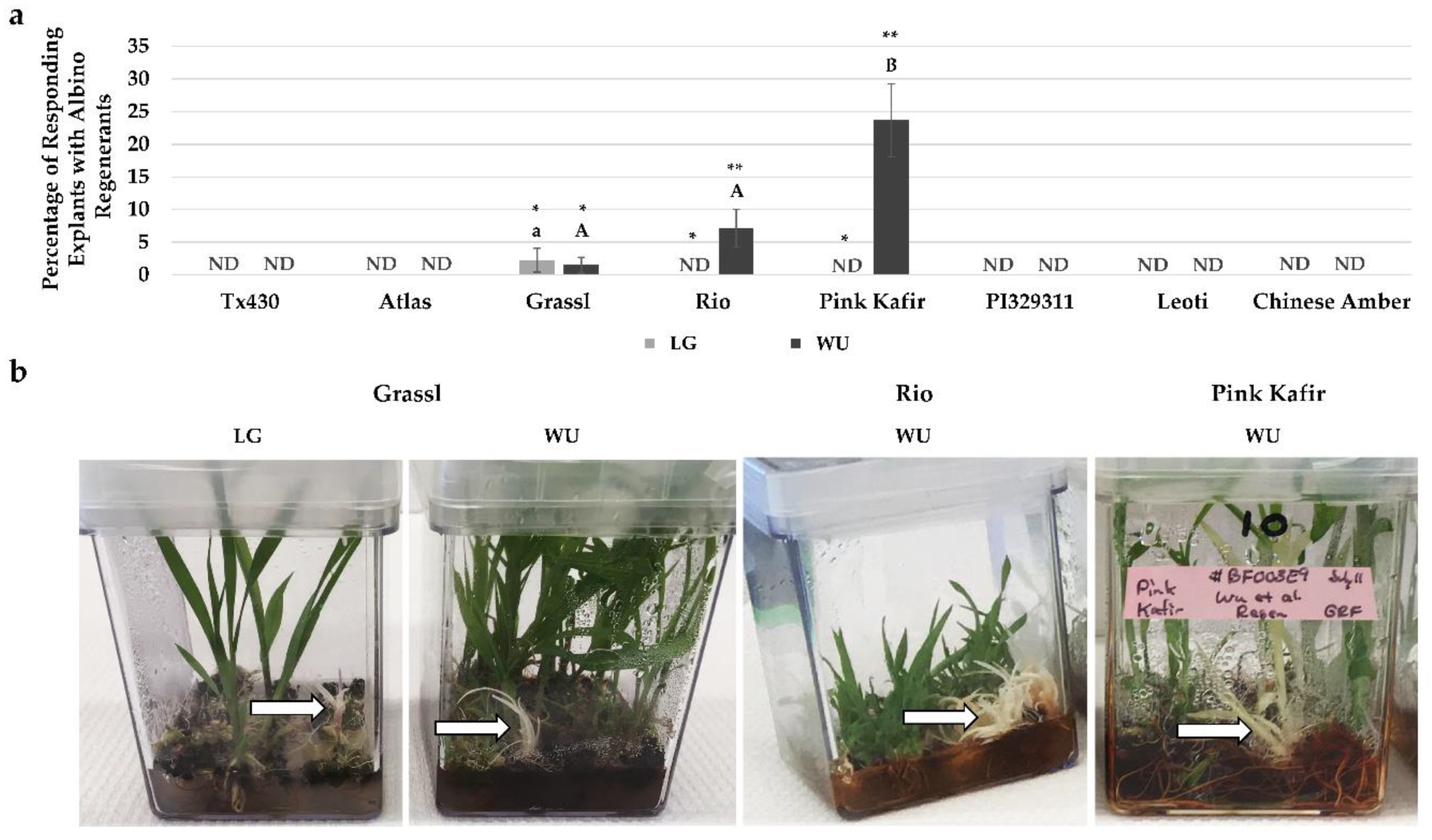 Plants 09 00248 g006