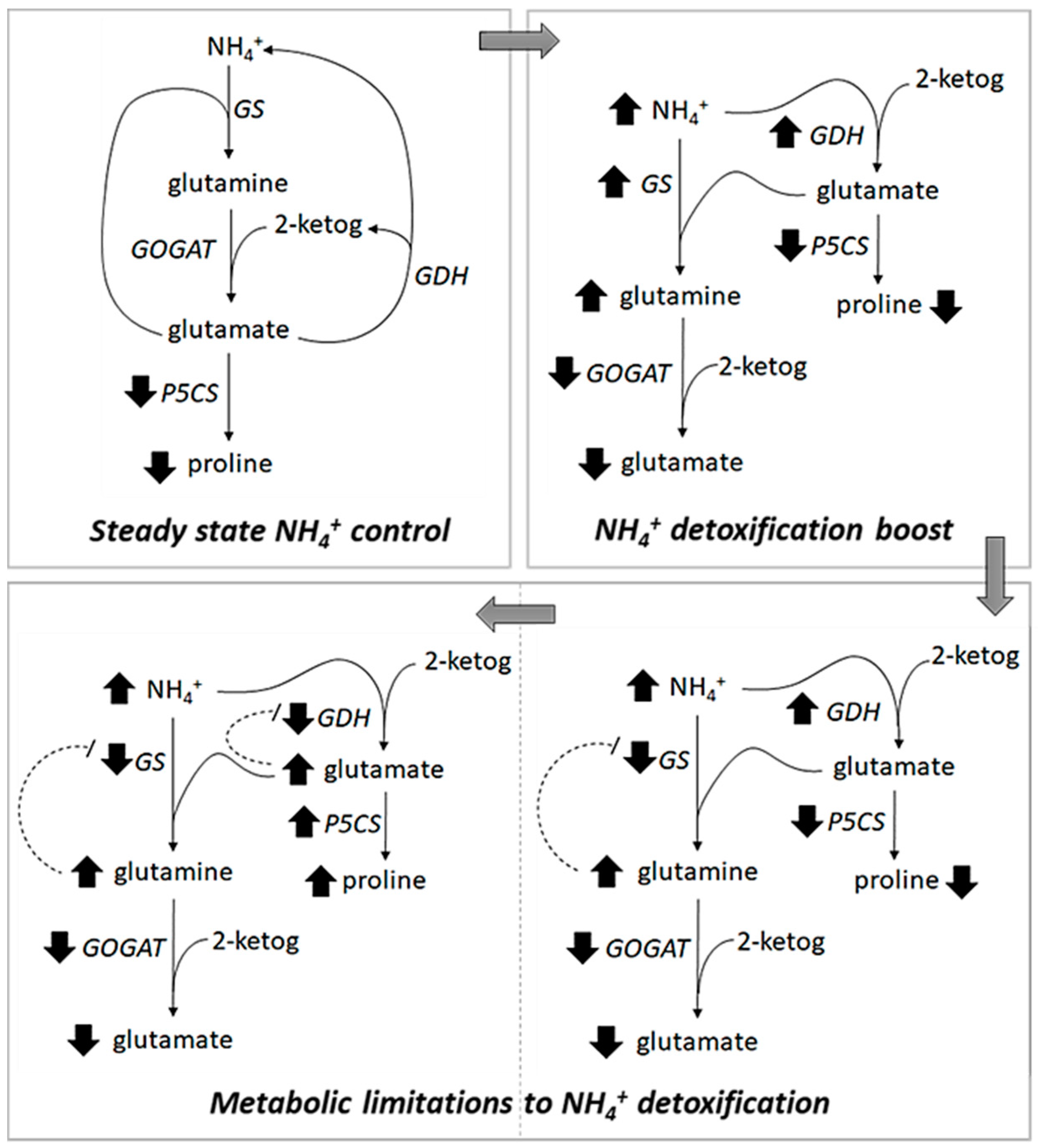 Plants 09 00257 g006 Plants 09 00257 g006