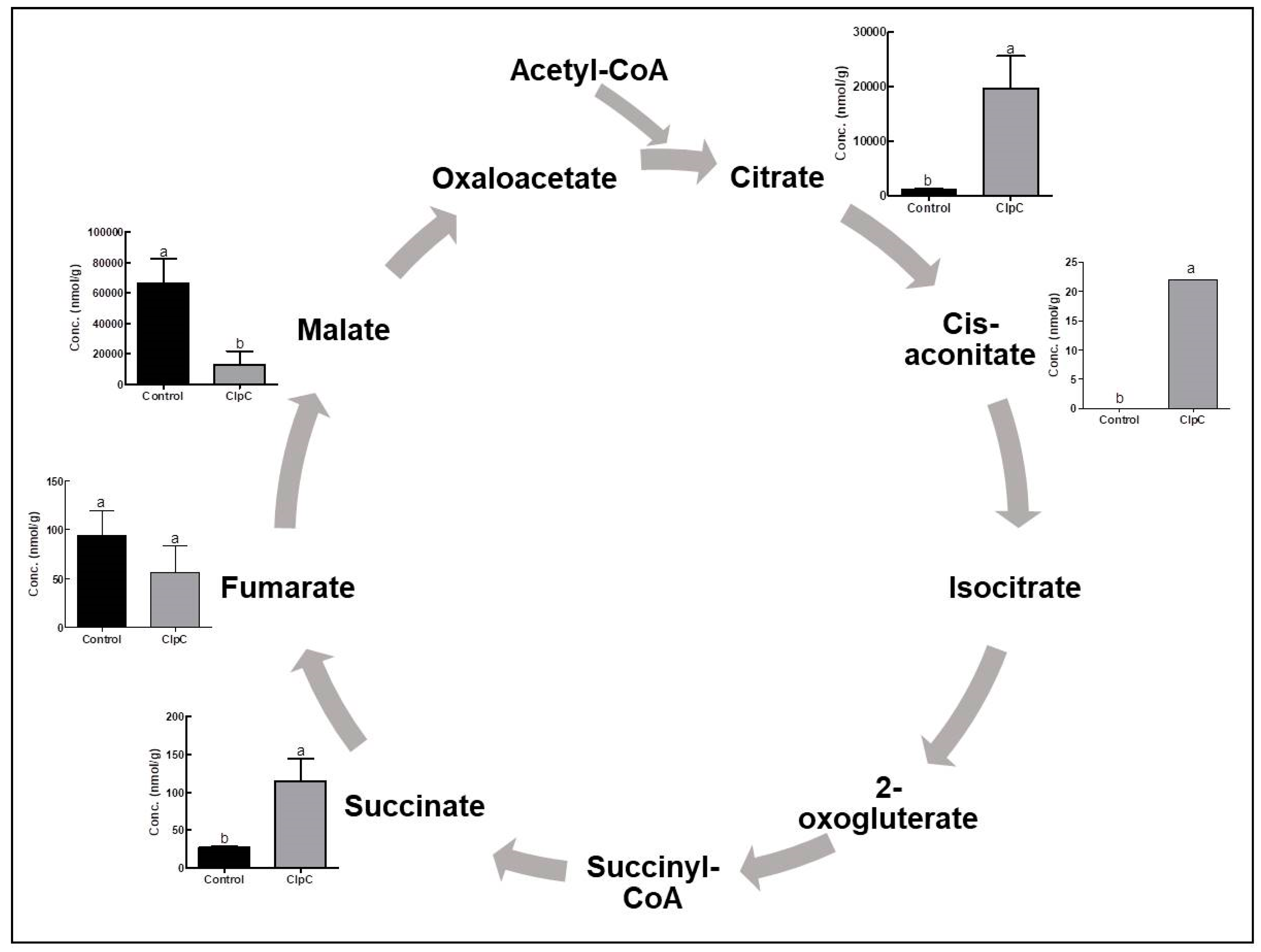 Plants 09 00259 g003 Plants 09 00259 g003