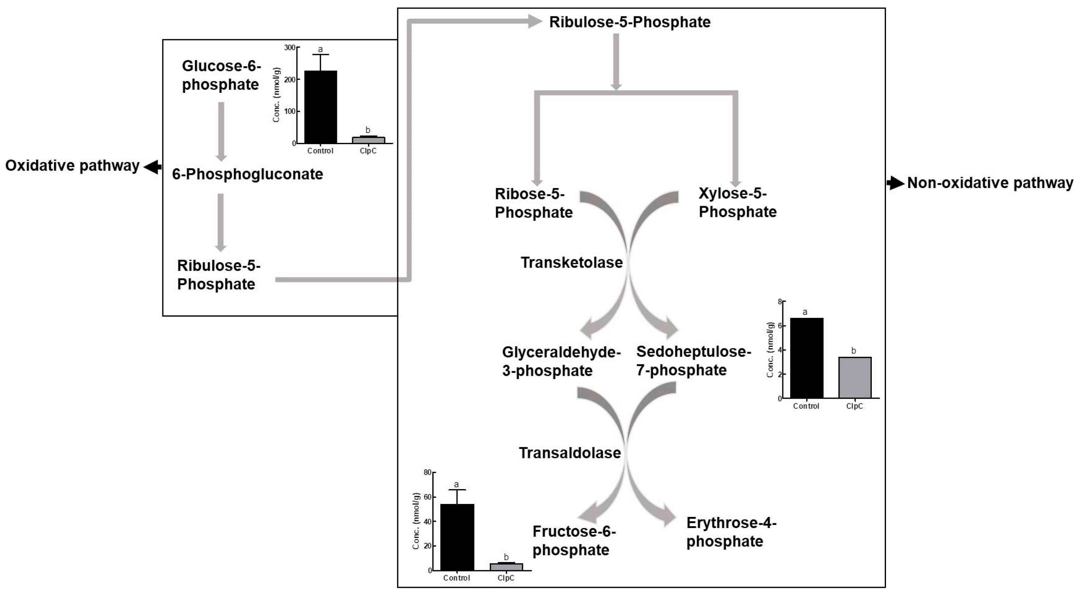 Plants 09 00259 g004 Plants 09 00259 g004