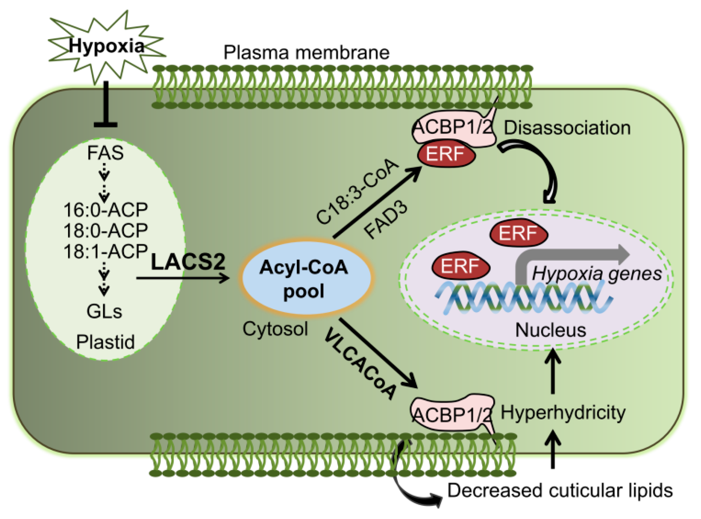 Plants 09 00262 g006 Plants 09 00262 g006