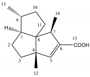 Plants 09 00265 i001