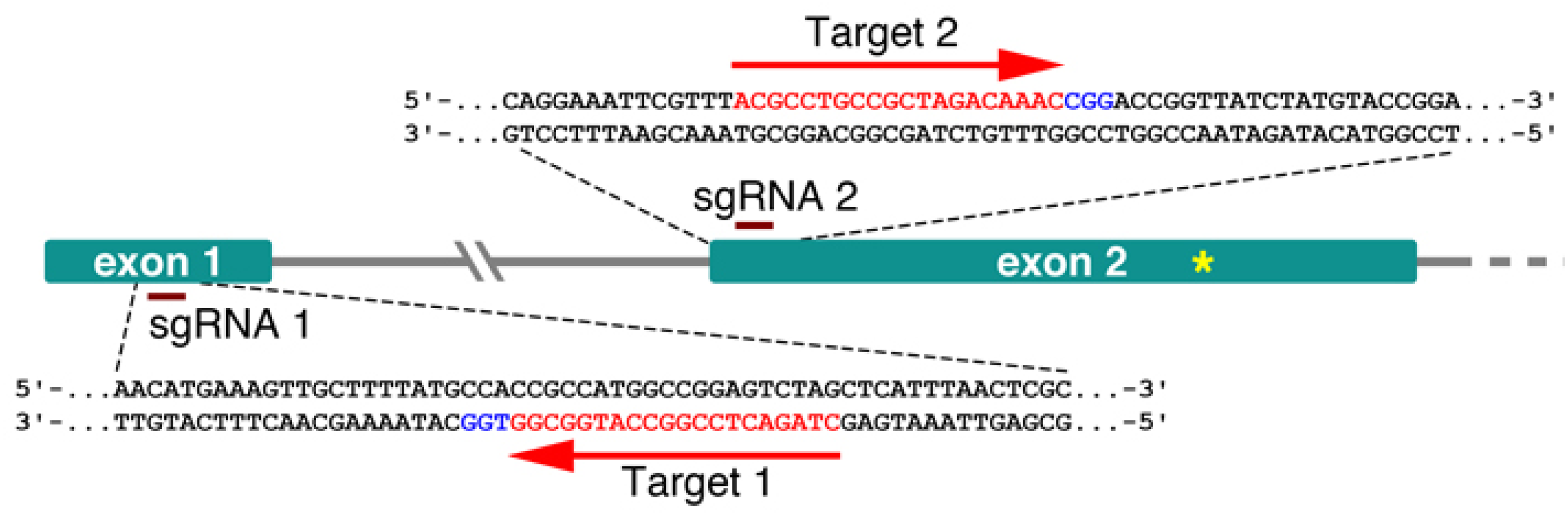 Plants 09 00268 g001