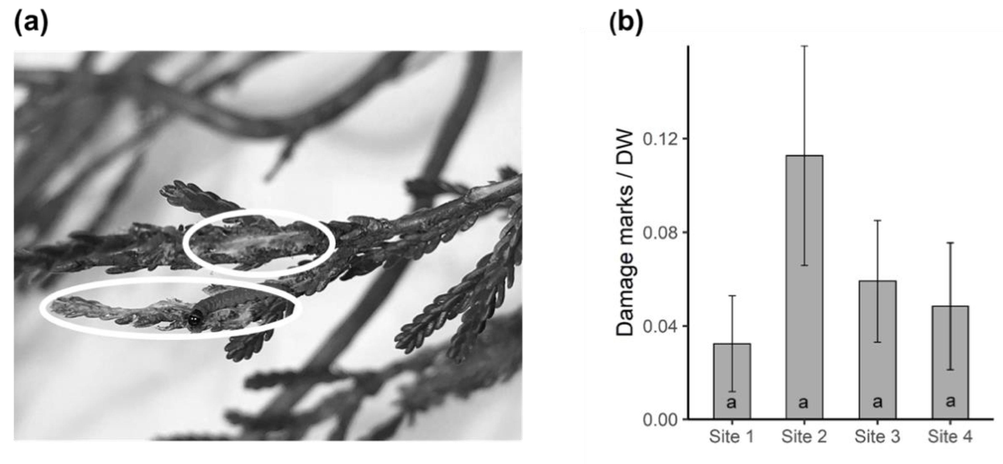 Plants 09 00283 g006 Plants 09 00283 g006