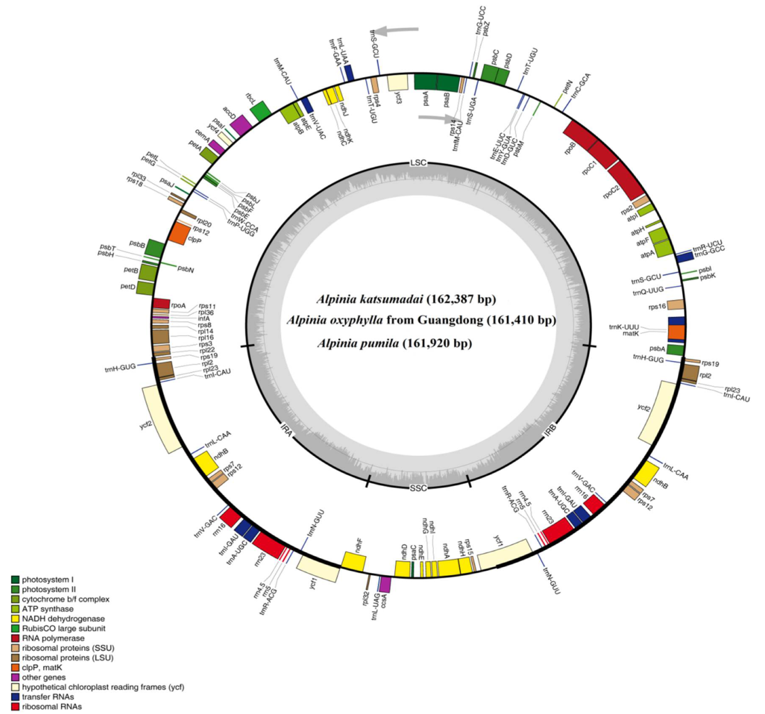 Plants 09 00286 g001
