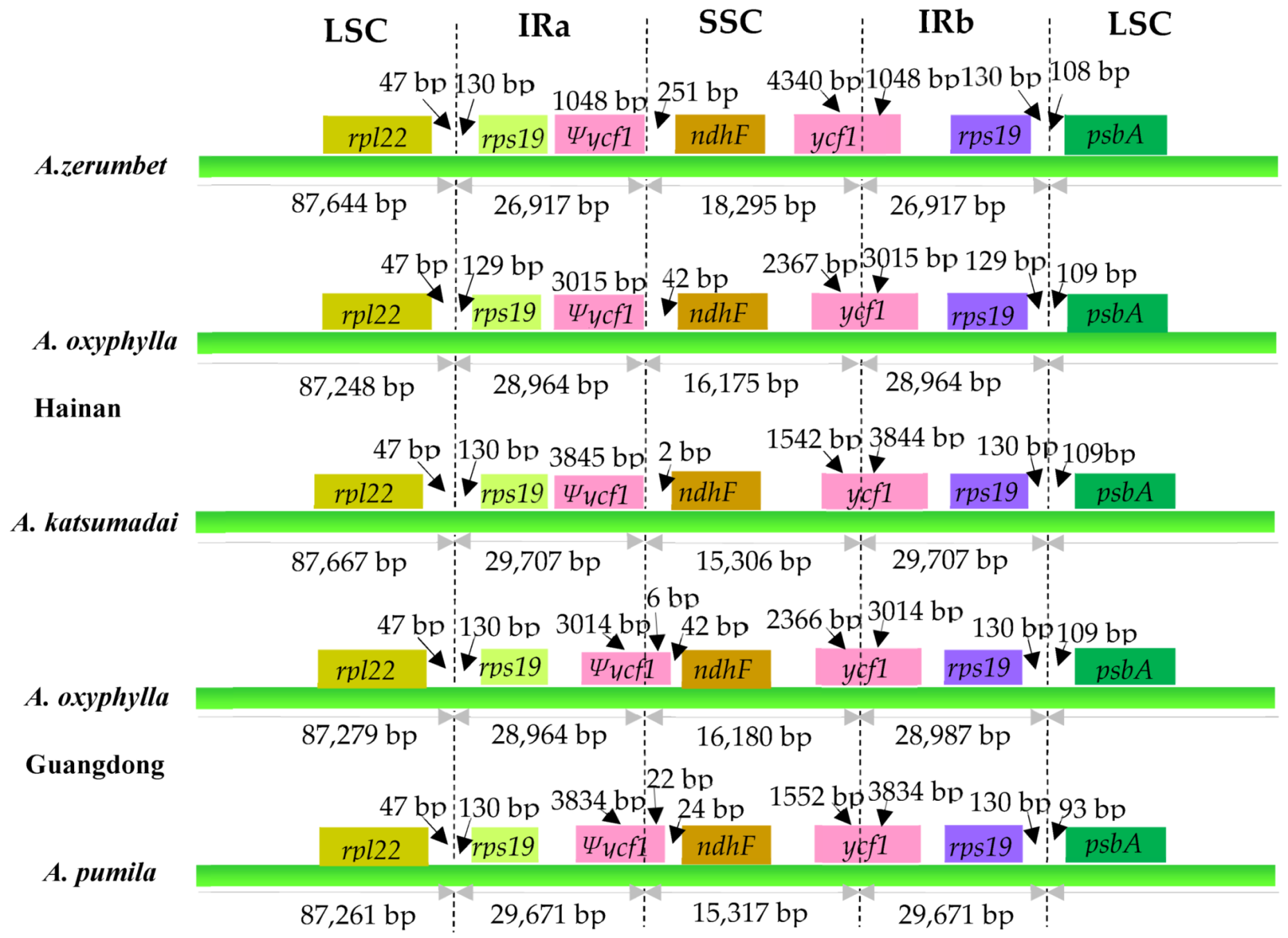 Plants 09 00286 g005