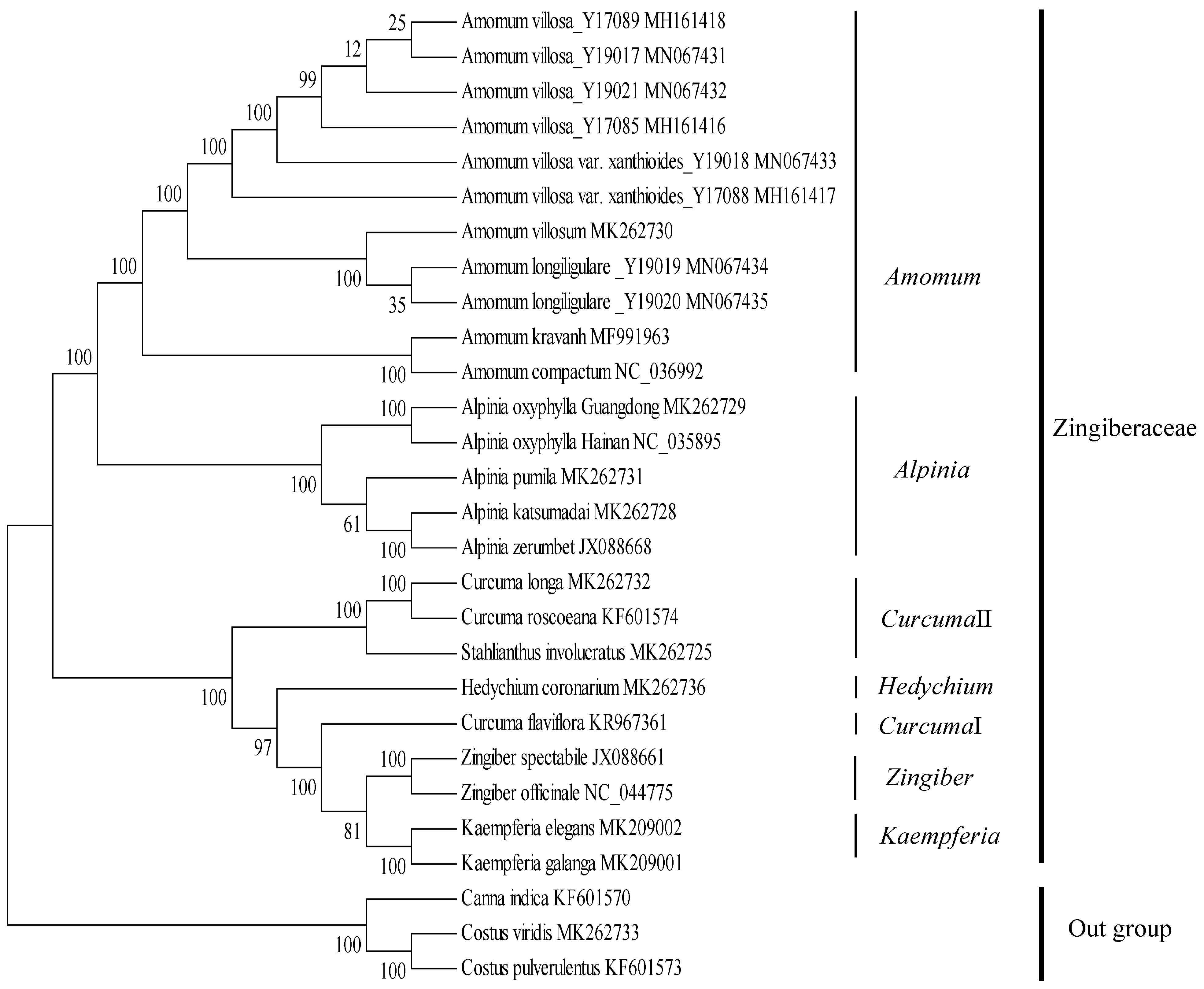 Plants 09 00286 g009