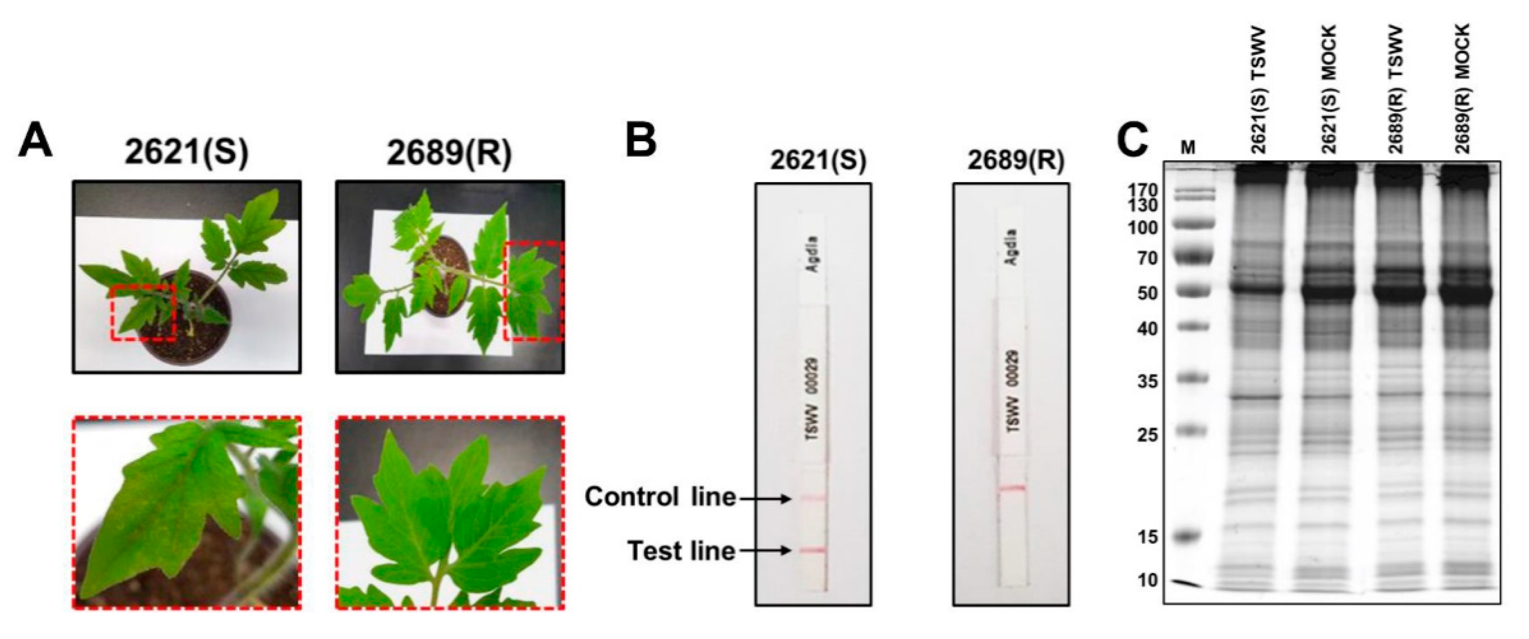 Plants 09 00290 g001