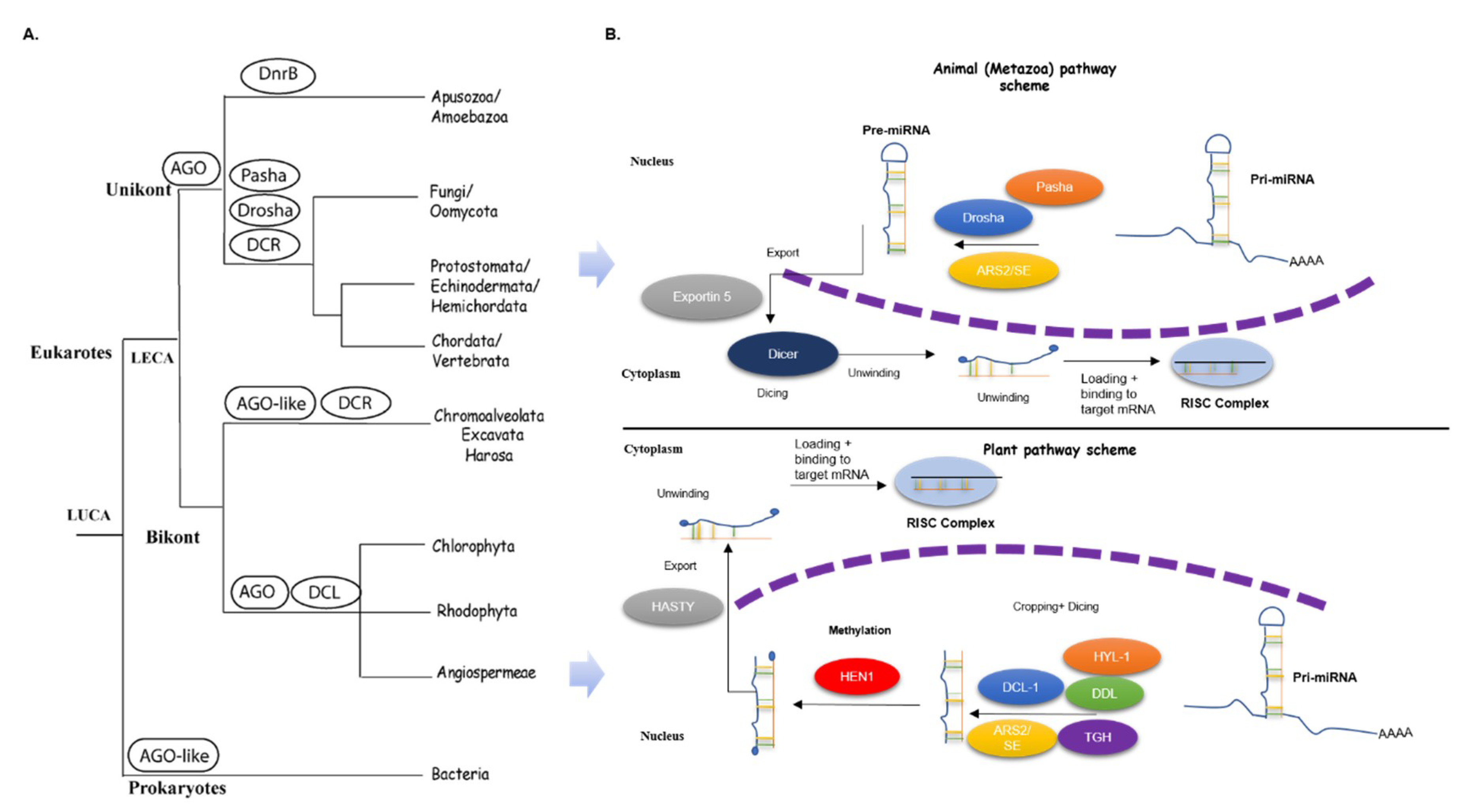 Plants 09 00299 g001 Plants 09 00299 g001