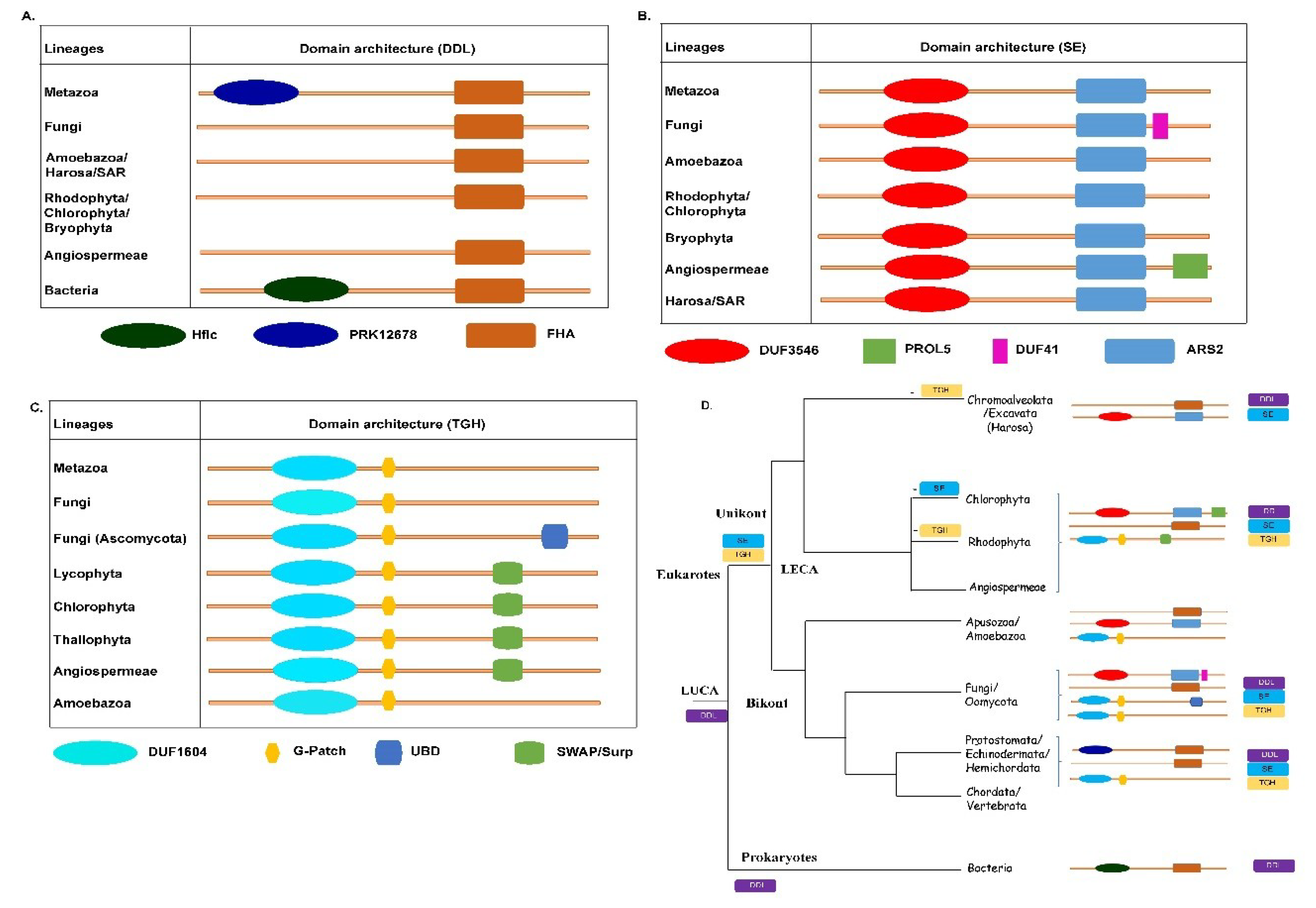 Plants 09 00299 g002 Plants 09 00299 g002