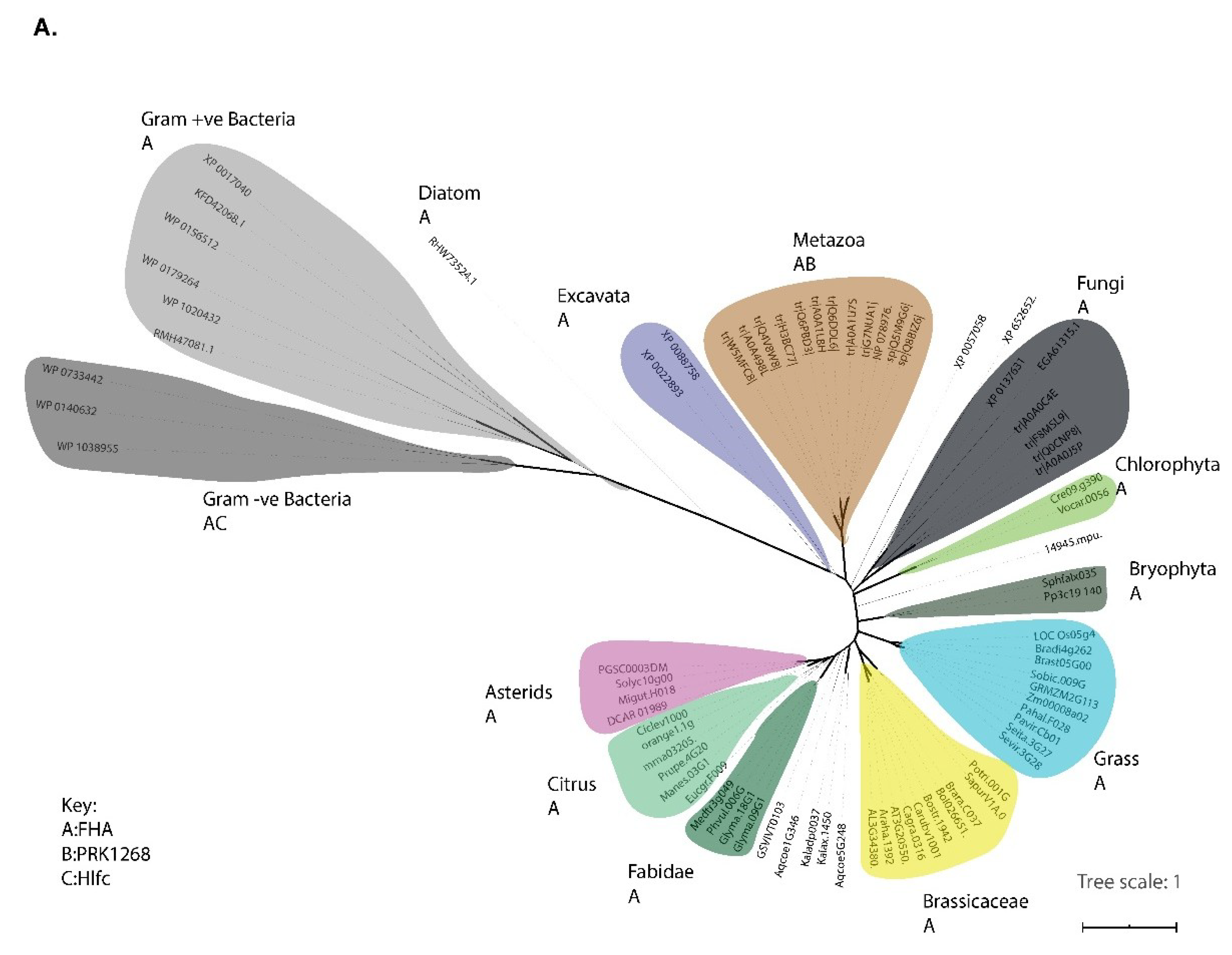 Plants 09 00299 g003a Plants 09 00299 g003a