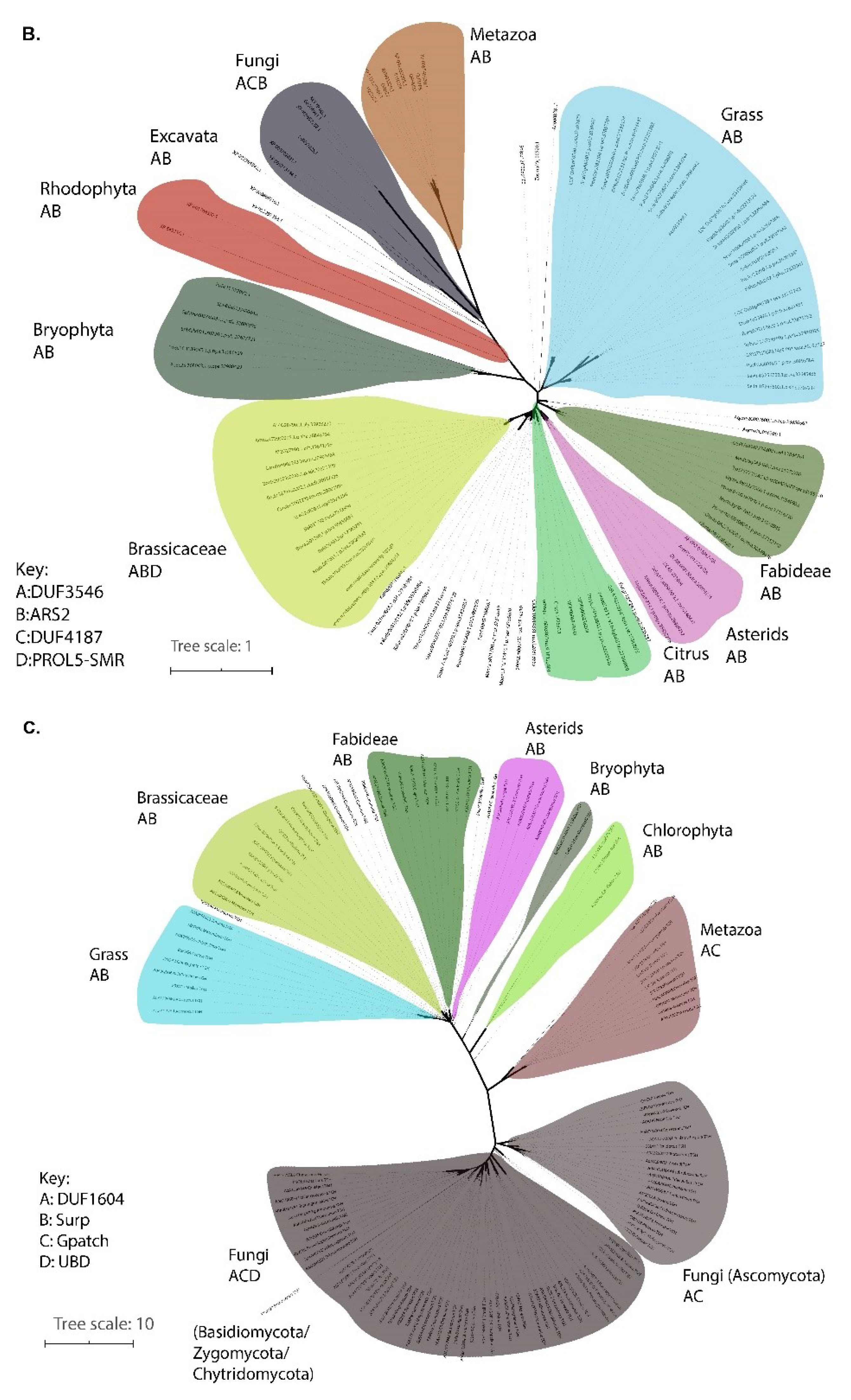 Plants 09 00299 g003b Plants 09 00299 g003b