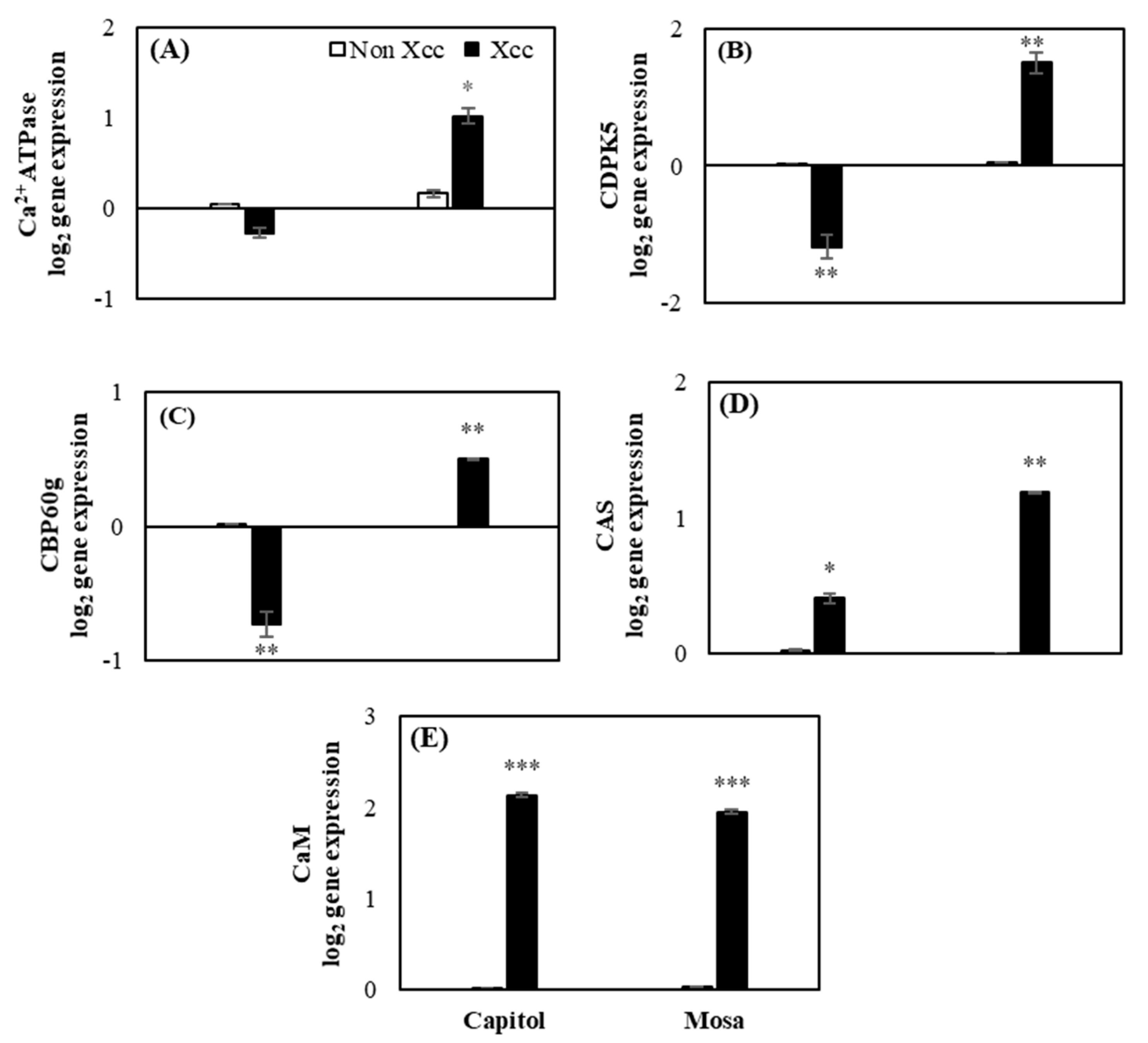 Plants 09 00303 g003