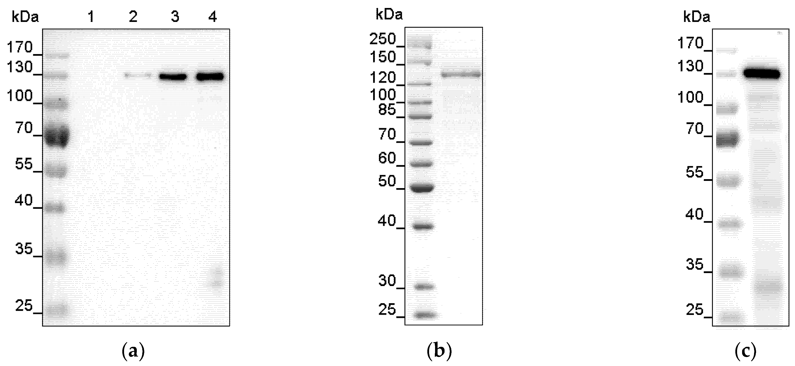 Plants 09 00304 g001 Plants 09 00304 g001