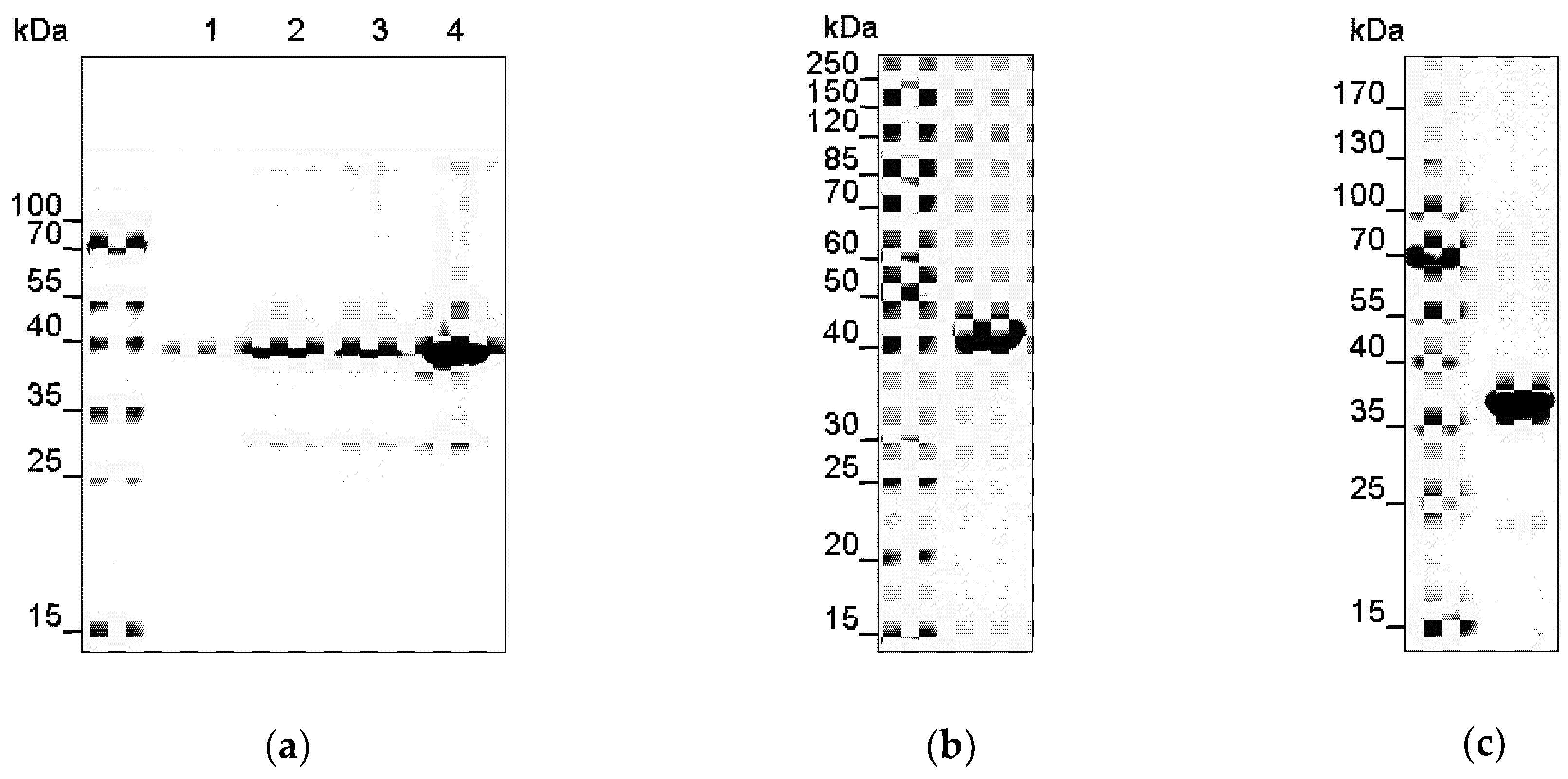 Plants 09 00304 g005 Plants 09 00304 g005