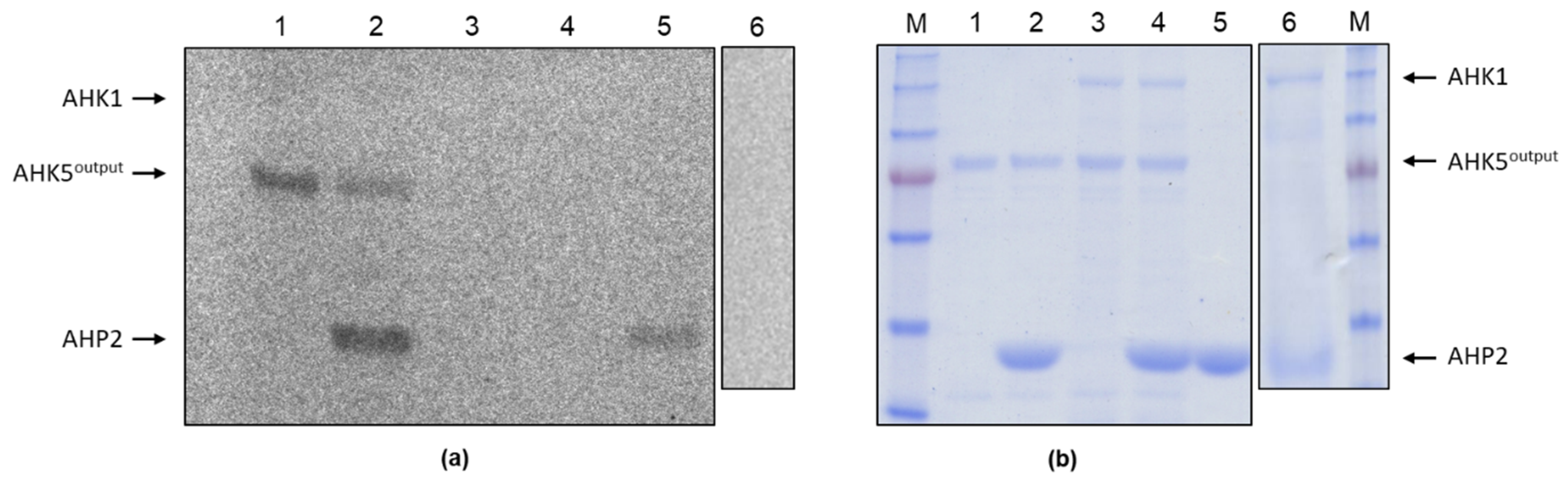 Plants 09 00304 g007 Plants 09 00304 g007