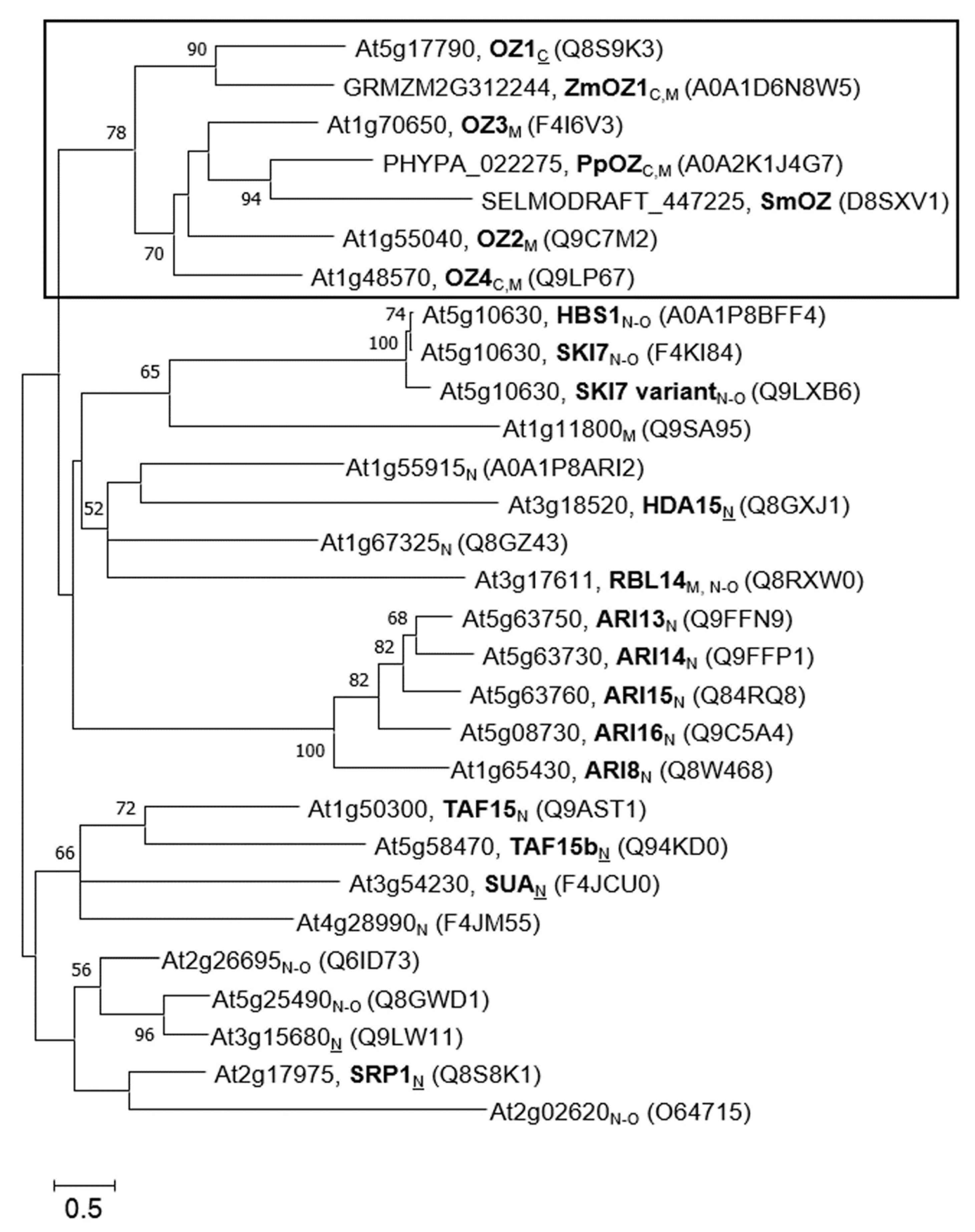 Plants 09 00307 g002 Plants 09 00307 g002