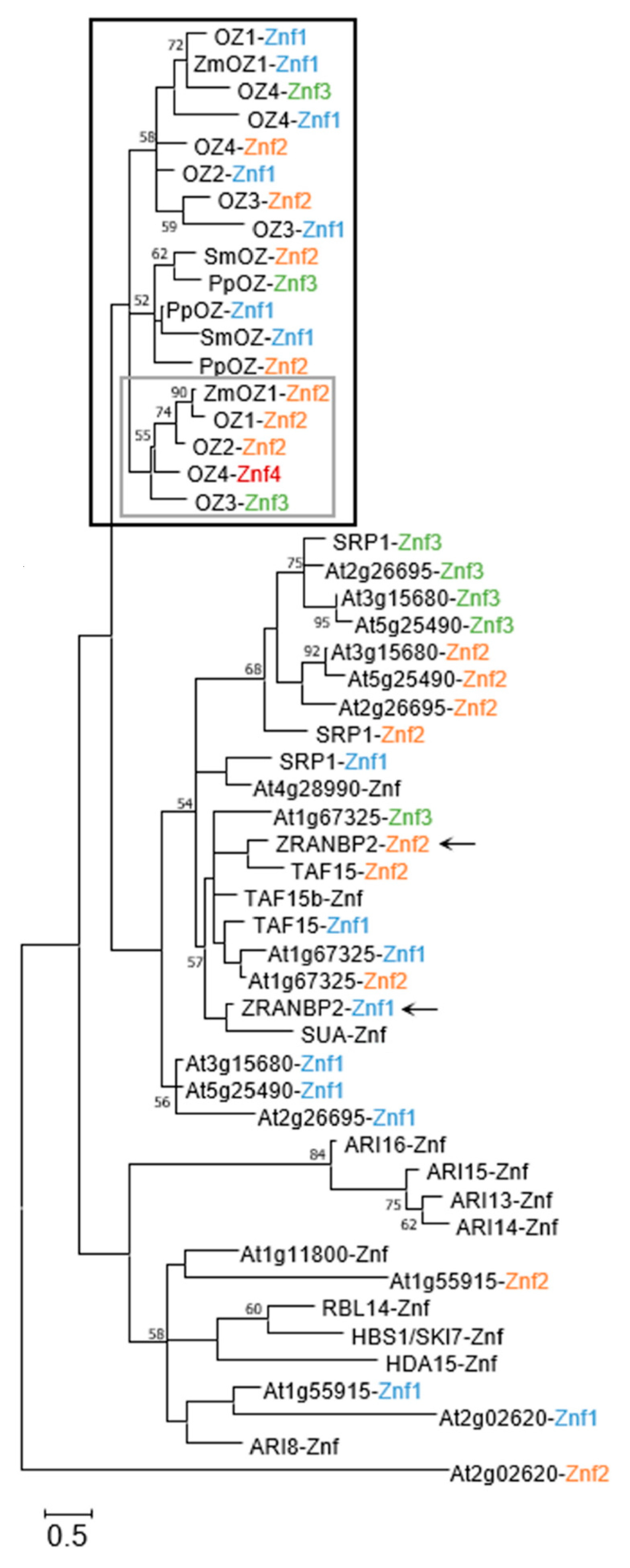 Plants 09 00307 g003 Plants 09 00307 g003