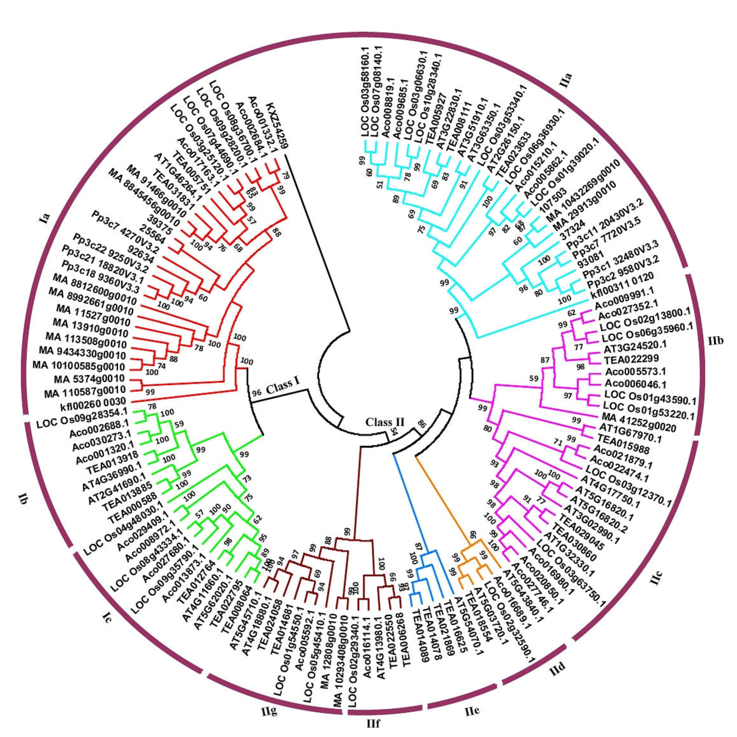 Plants 09 00311 g002