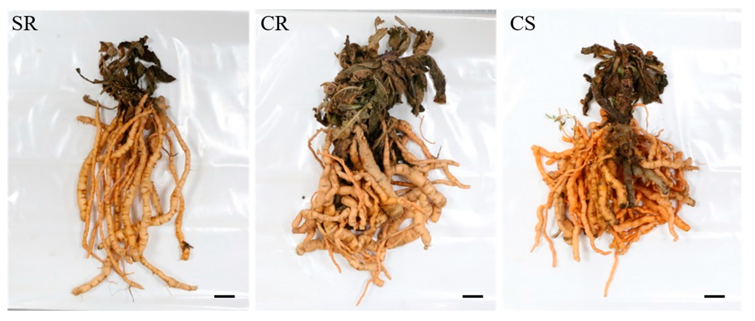 Plants 09 00317 g003