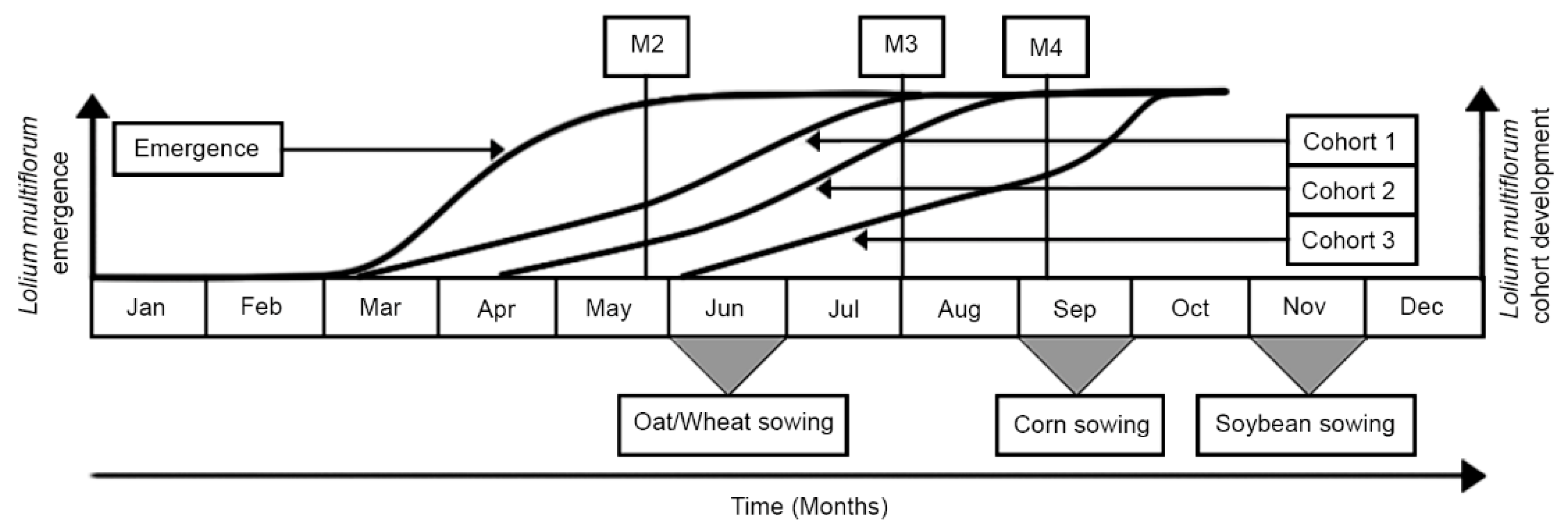 Plants 09 00325 g003 Plants 09 00325 g003