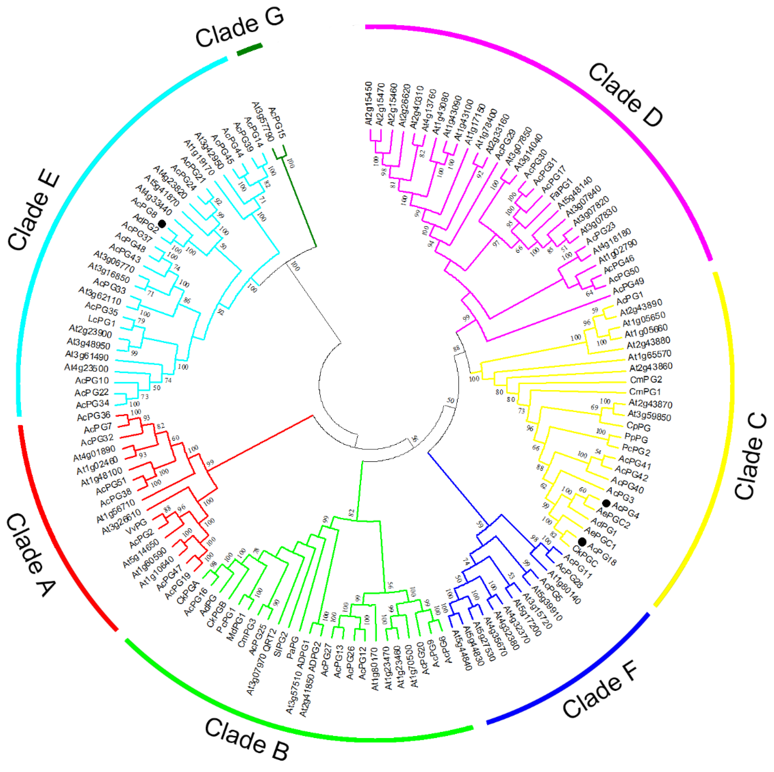 Plants 09 00327 g002