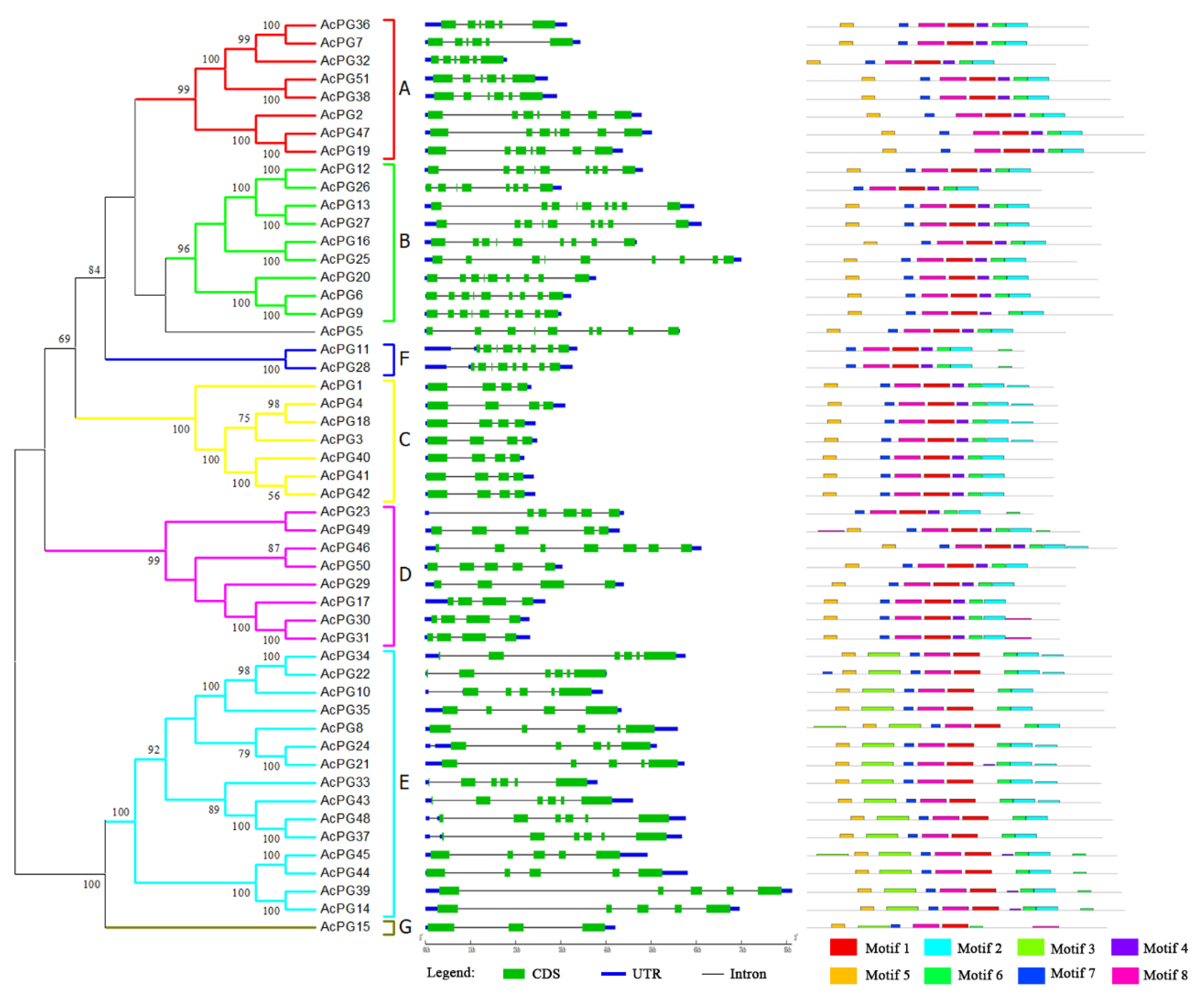 Plants 09 00327 g003