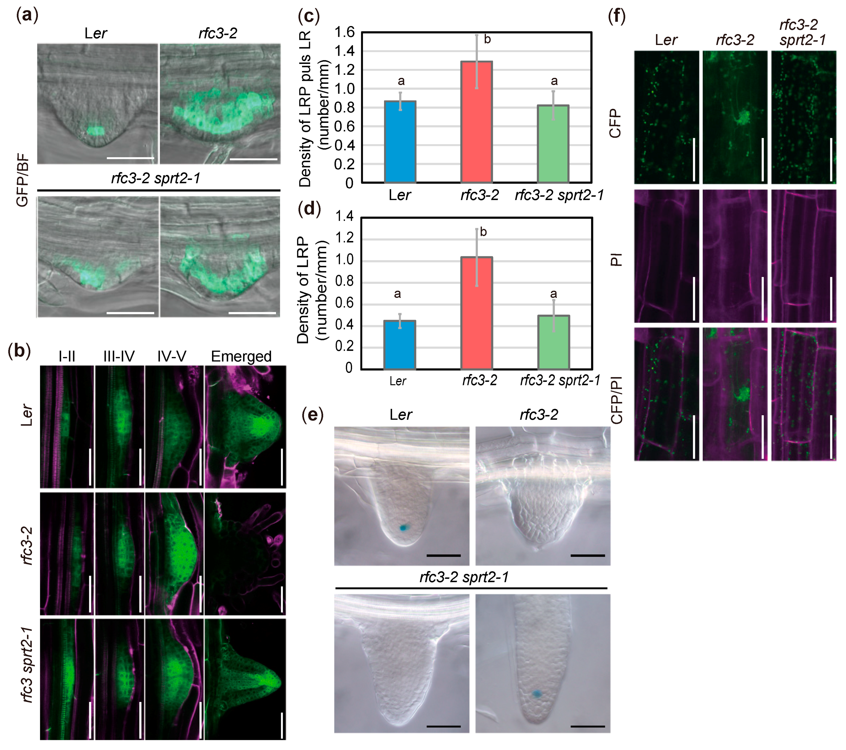Plants 09 00328 g004
