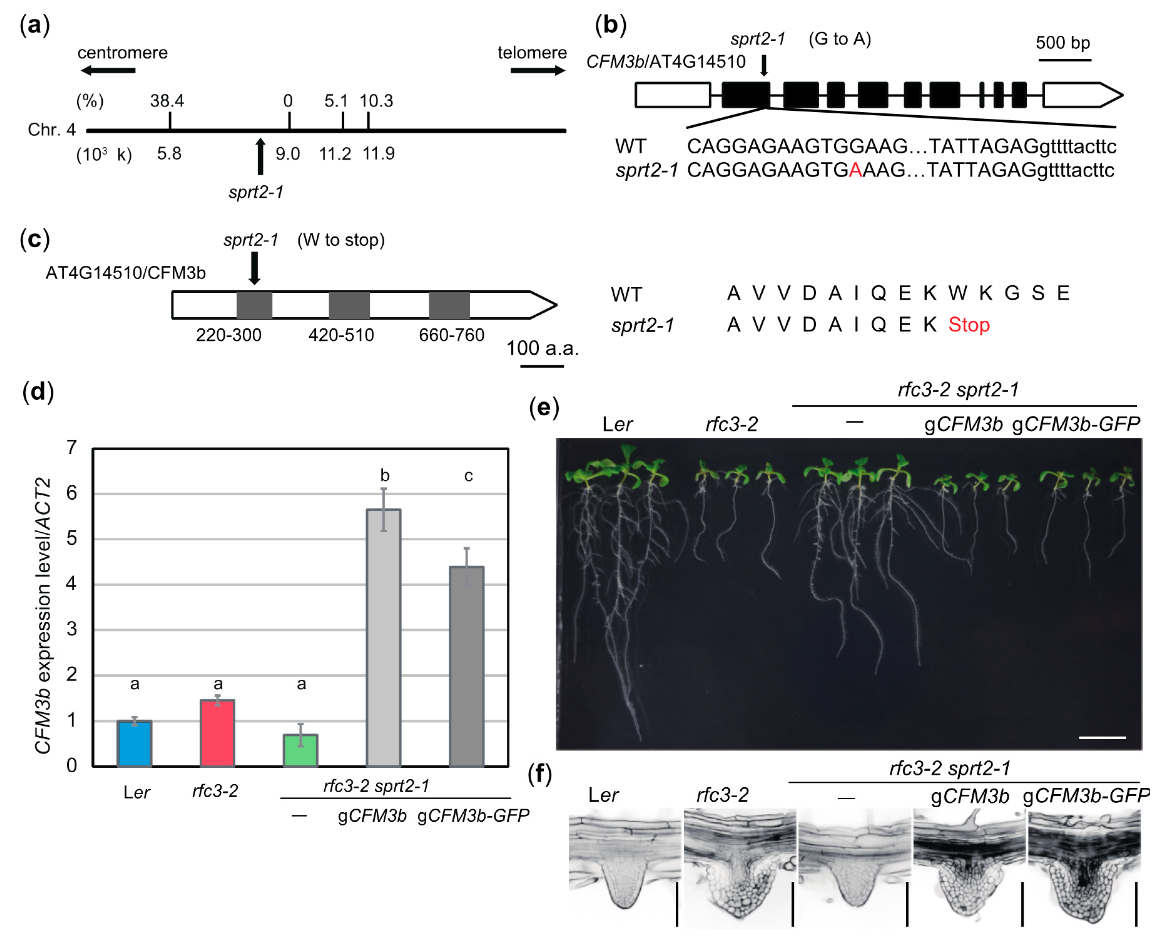 Plants 09 00328 g007