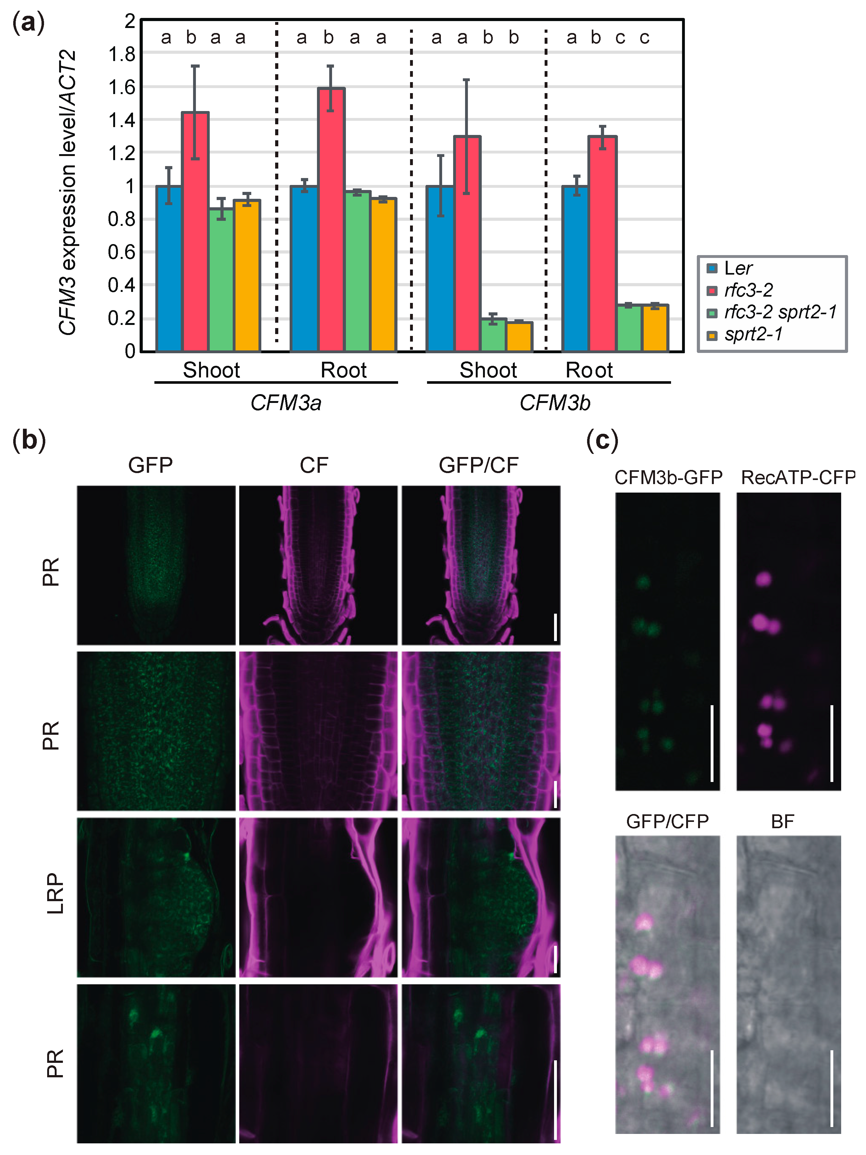 Plants 09 00328 g008