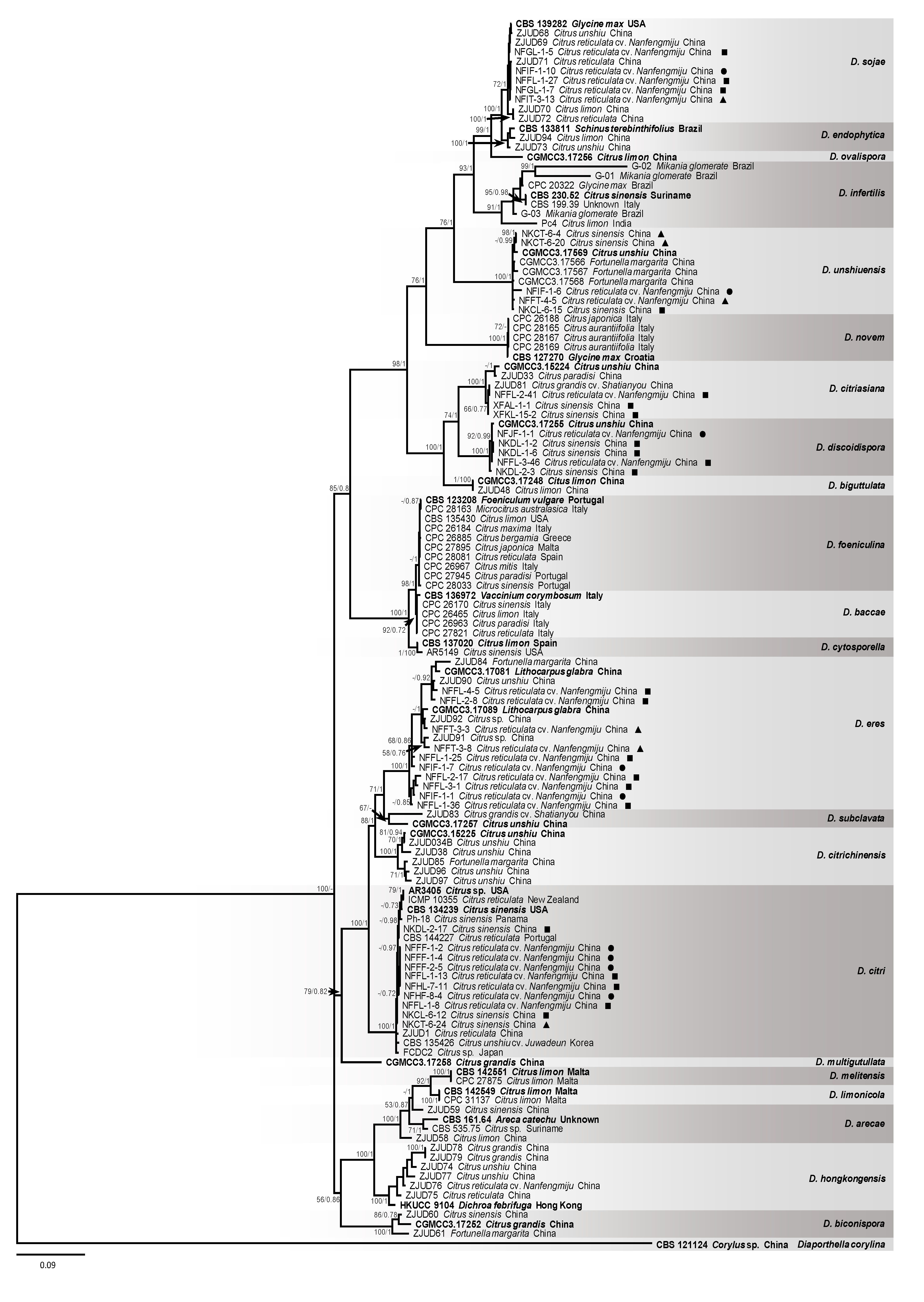 Plants 09 00329 g003