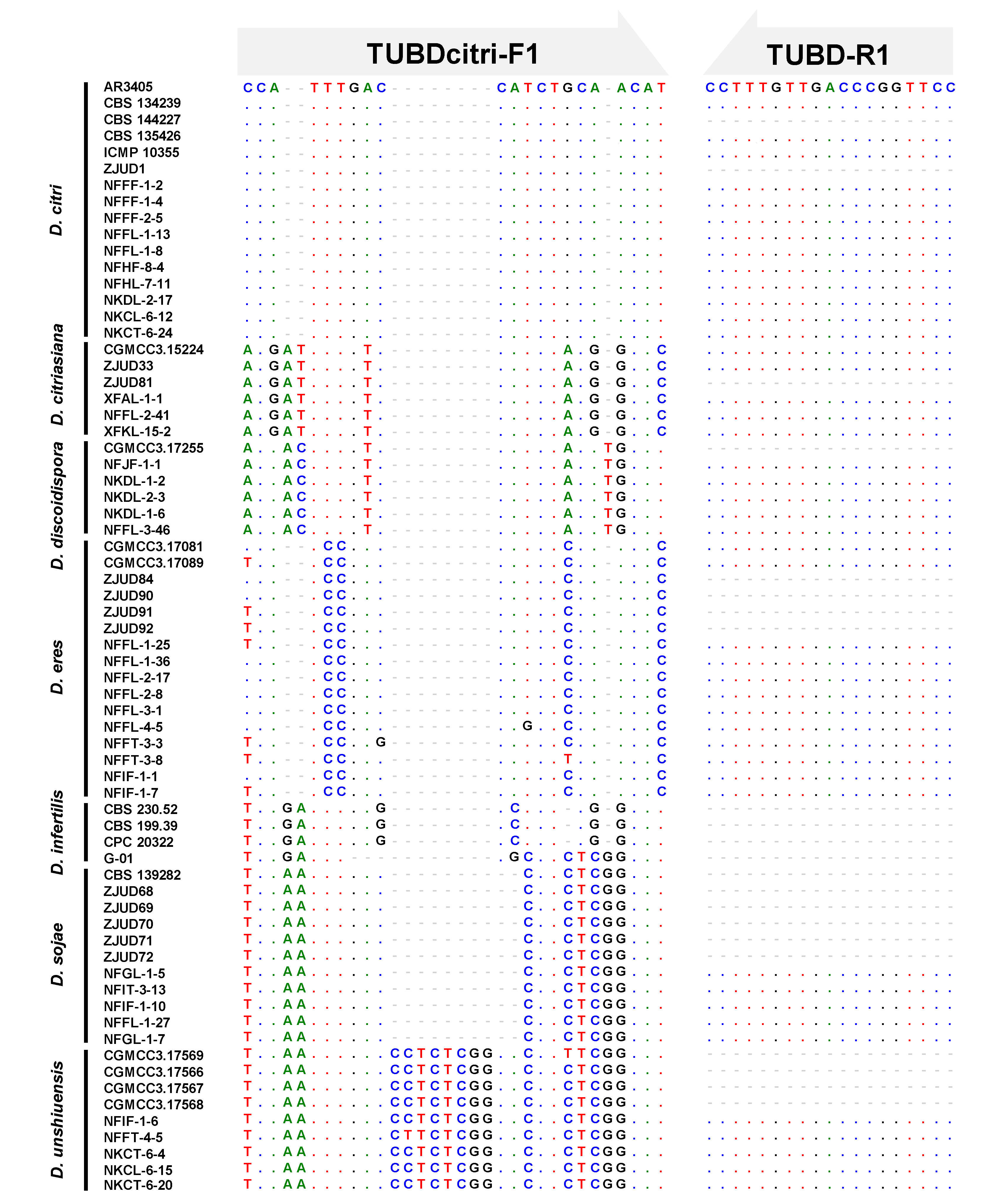 Plants 09 00329 g005