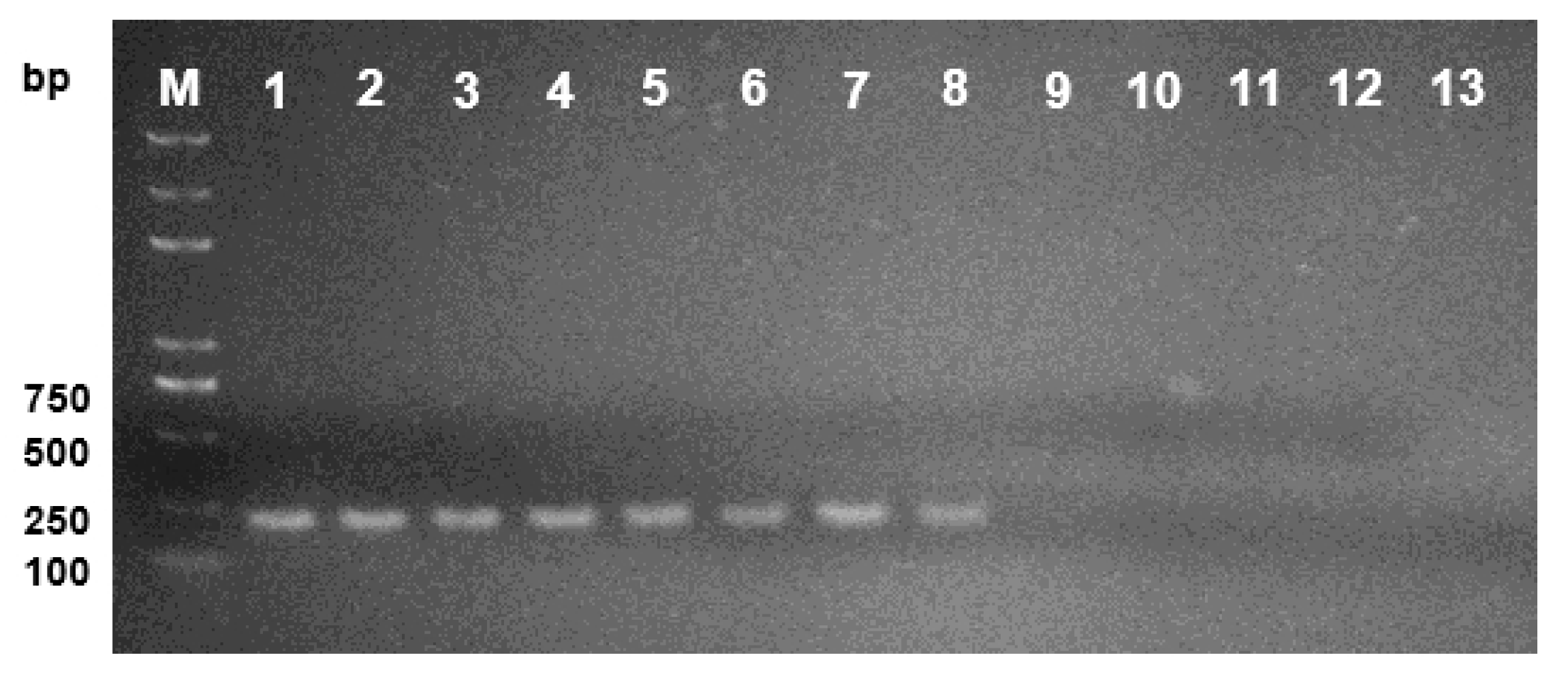 Plants 09 00329 g006