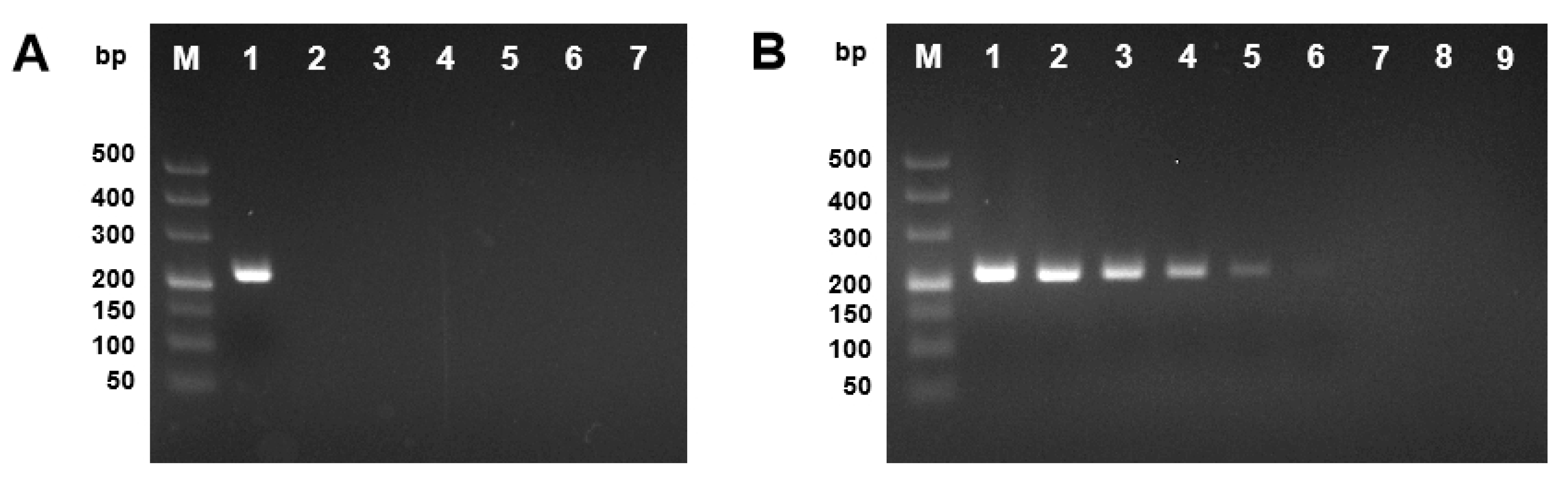 Plants 09 00329 g007