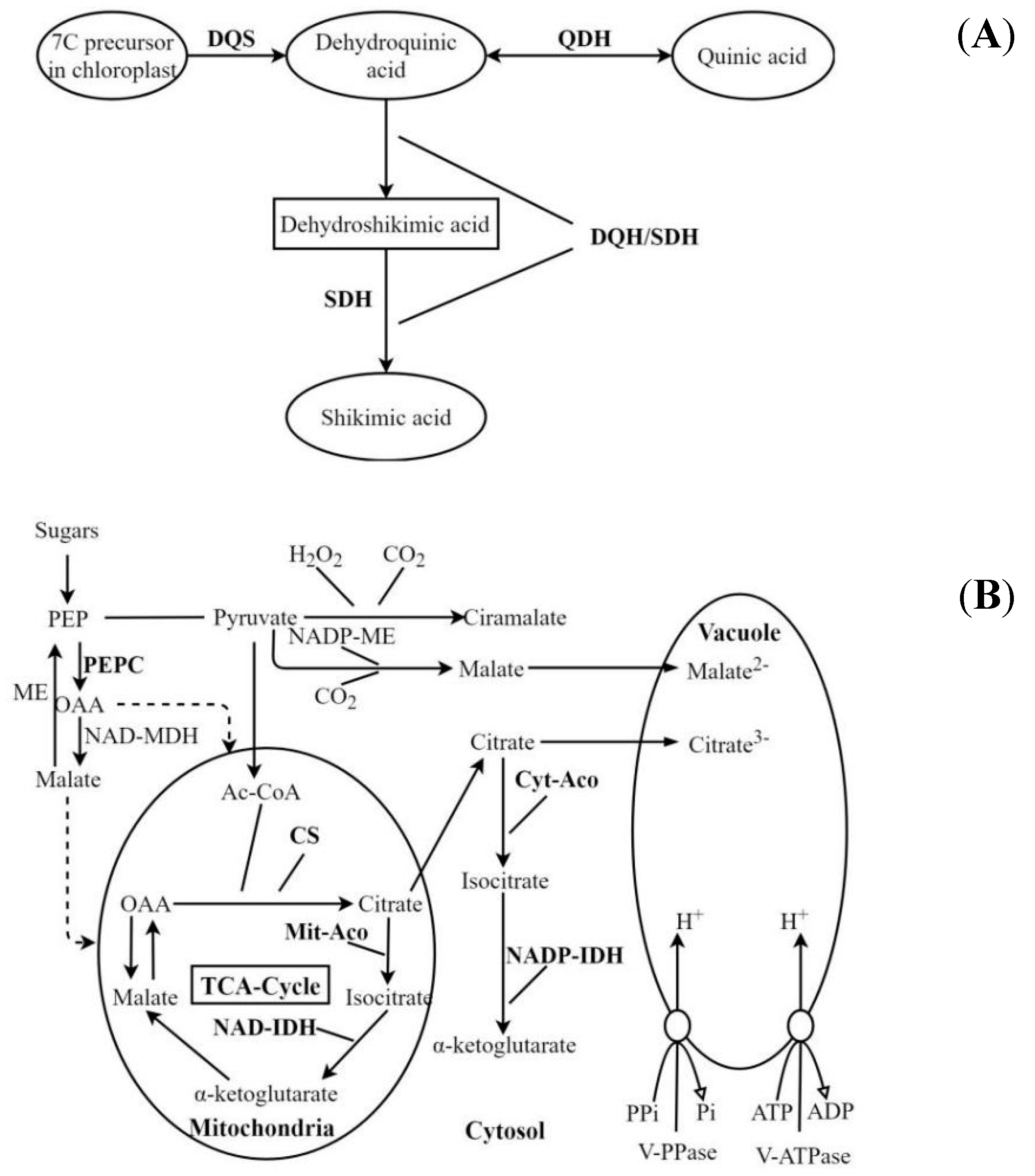 Plants 09 00332 g001 Plants 09 00332 g001