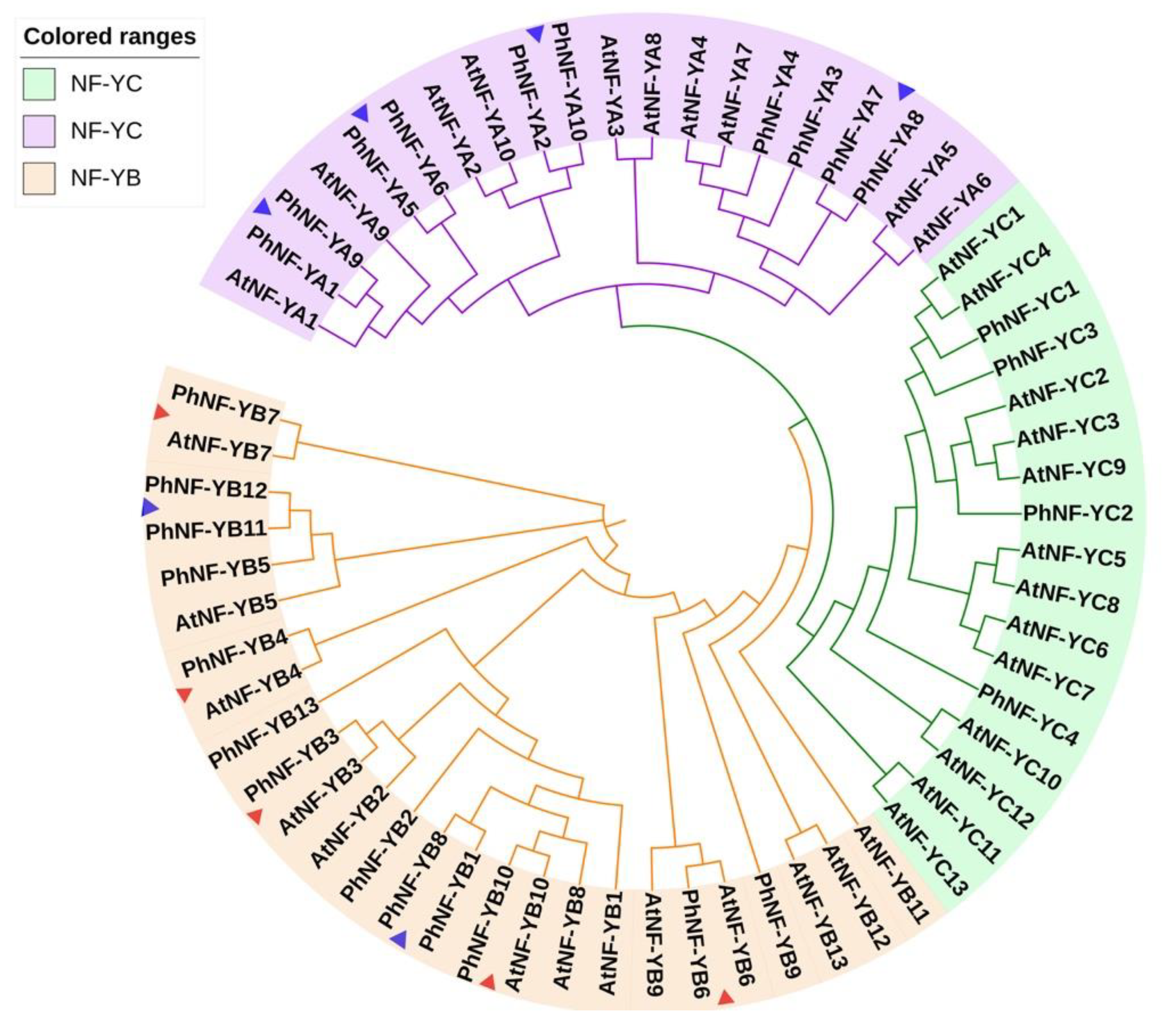 Plants 09 00336 g002 Plants 09 00336 g002
