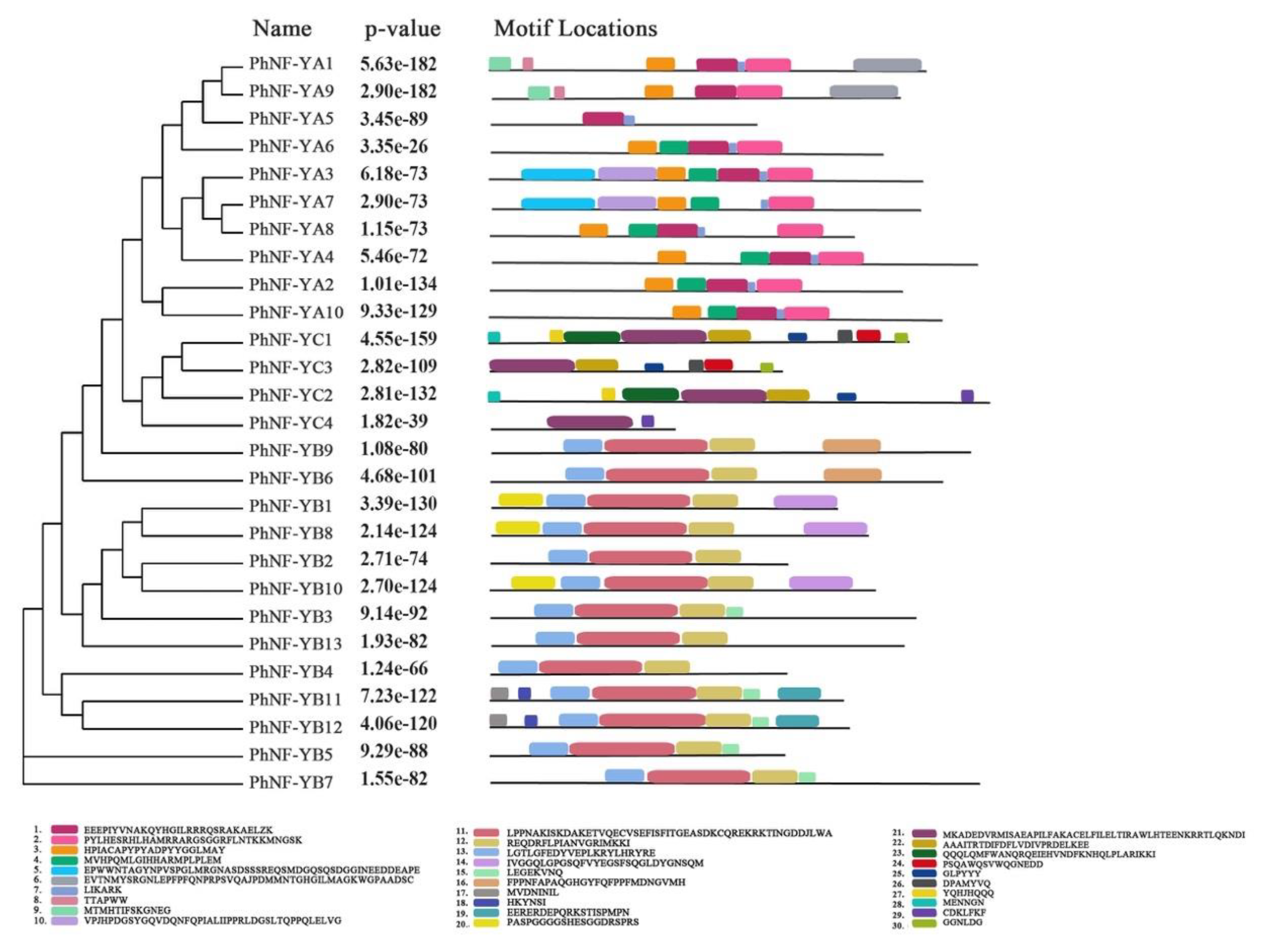 Plants 09 00336 g004 Plants 09 00336 g004
