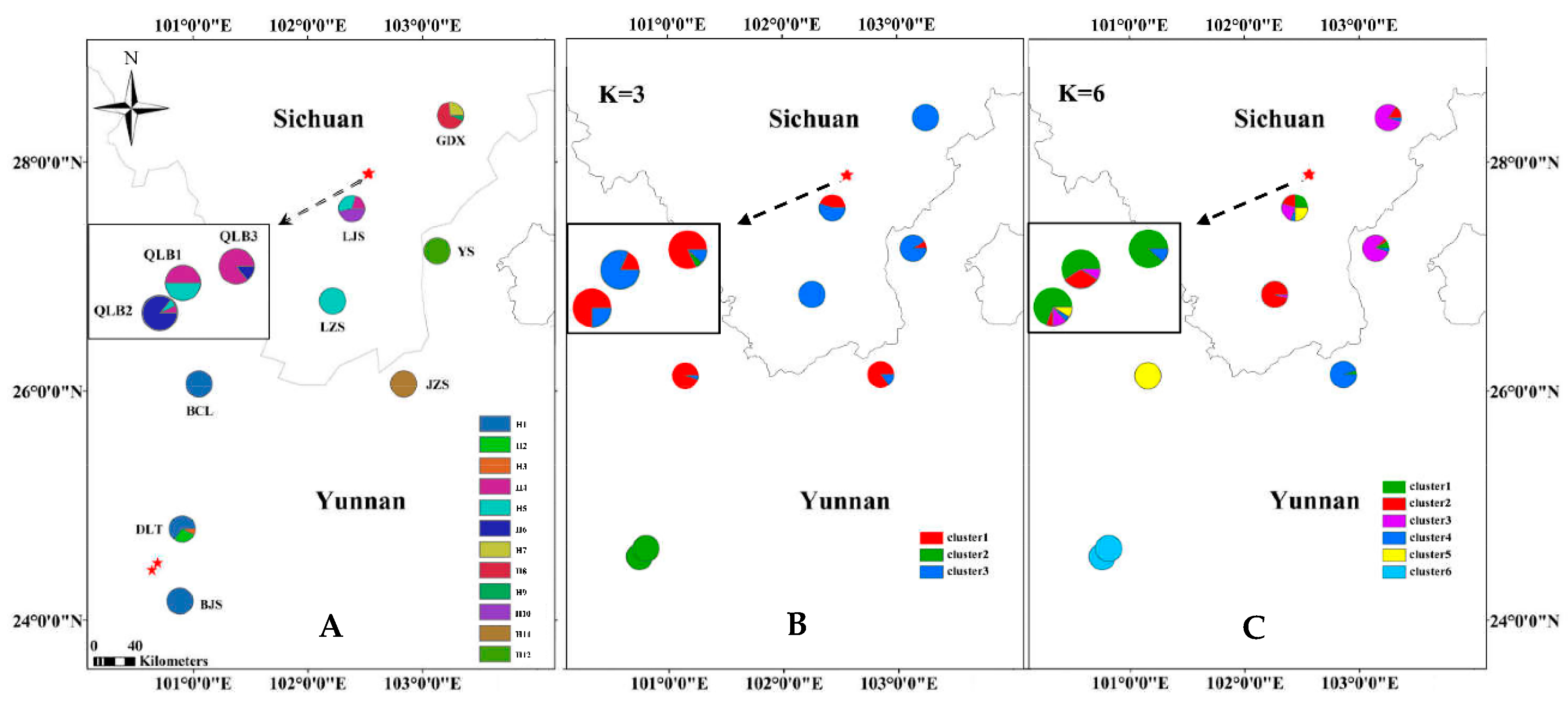 Plants 09 00338 g001