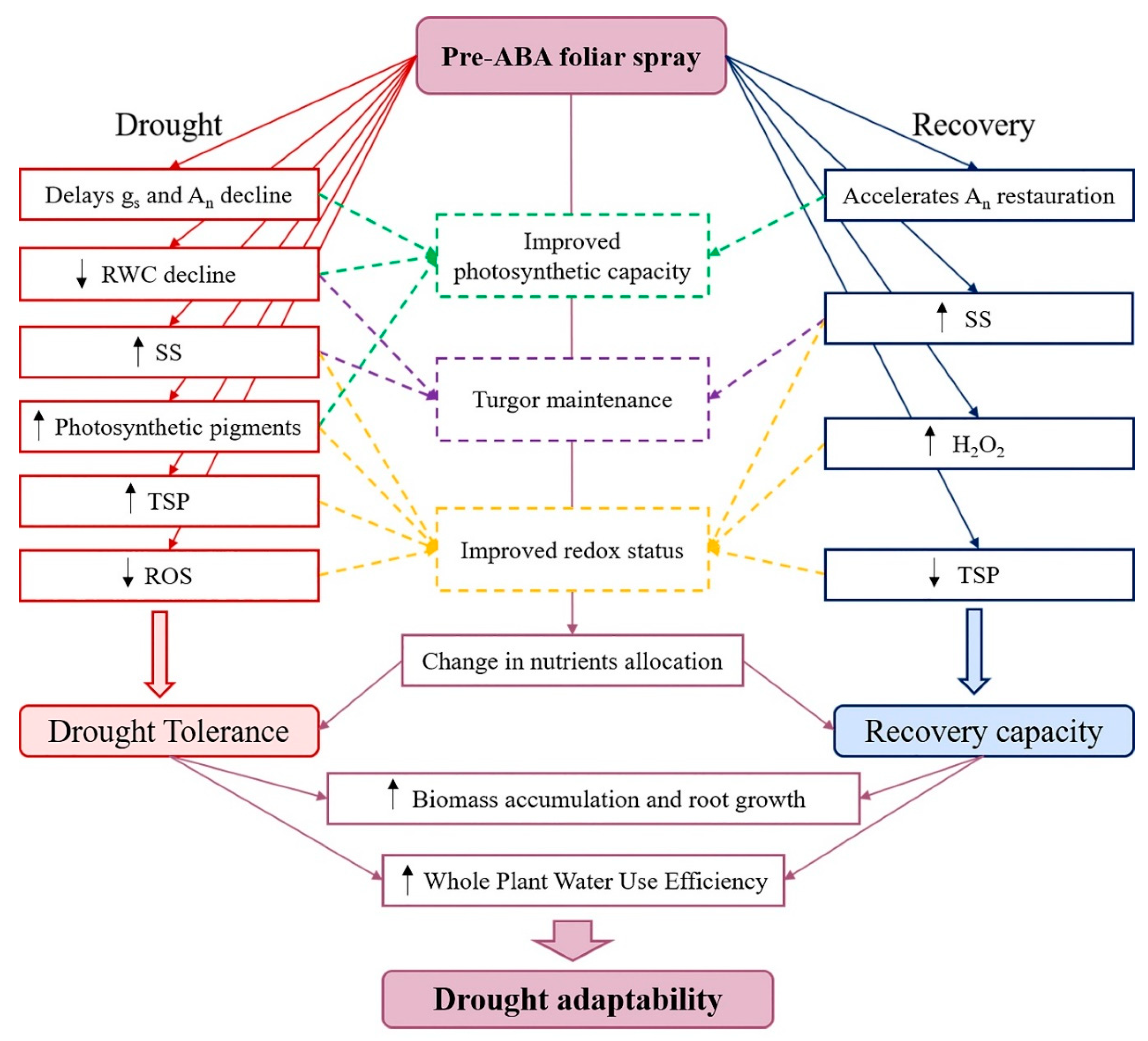 Plants 09 00341 g004 Plants 09 00341 g004