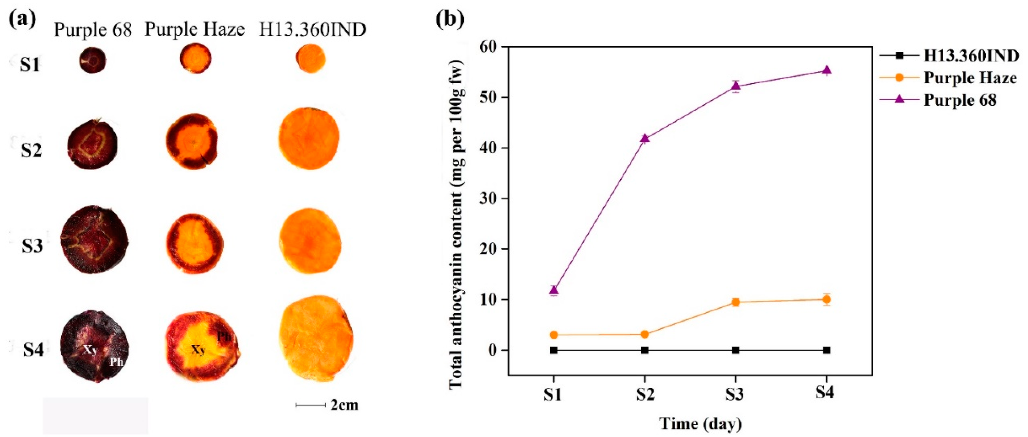Plants 09 00344 g001 Plants 09 00344 g001