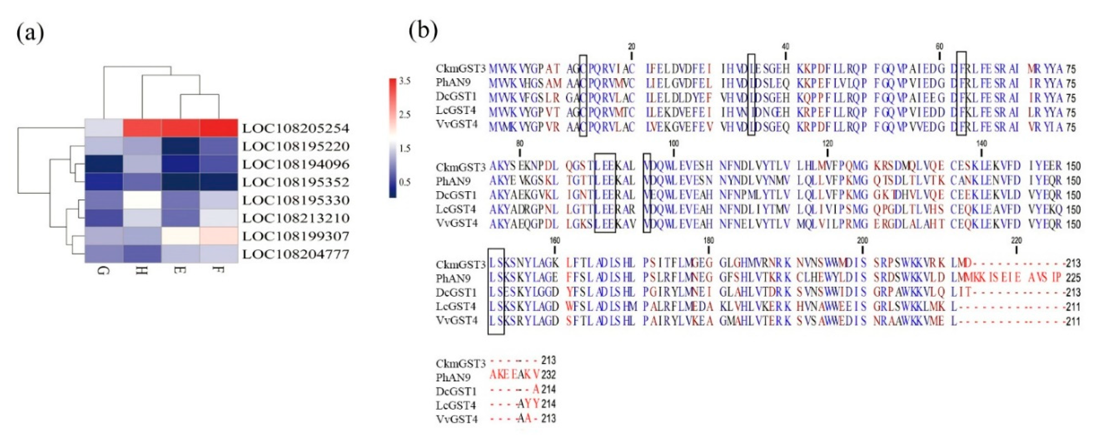 amino acid sequence analysis amino acid sequence analysis