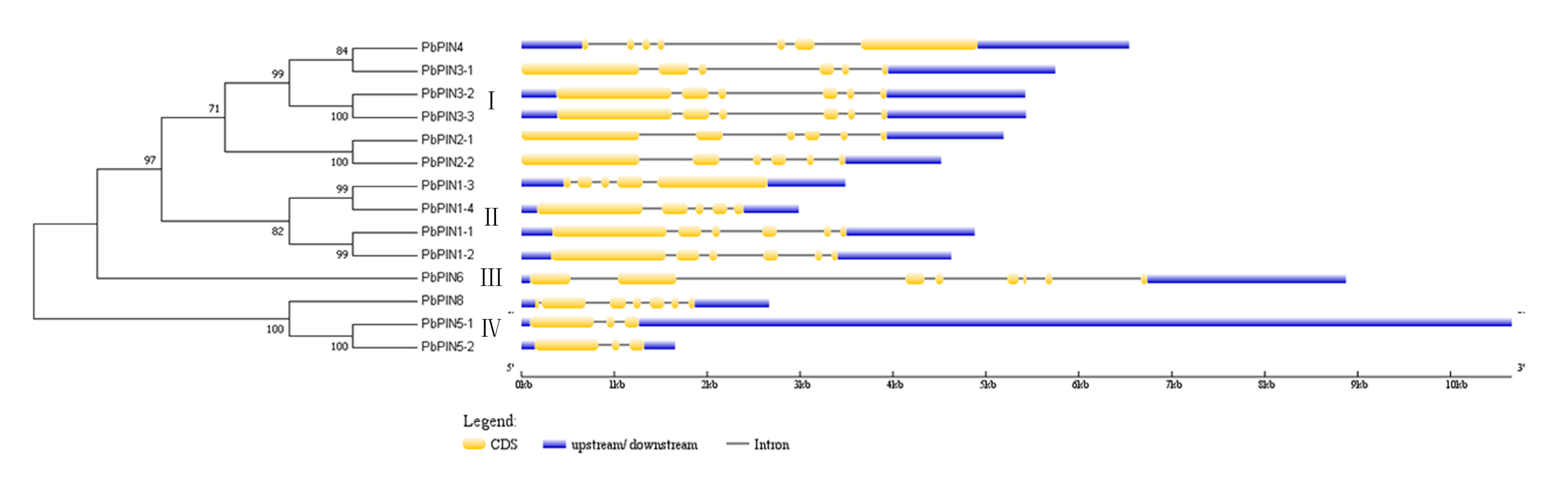 Plants 09 00349 g002 Plants 09 00349 g002
