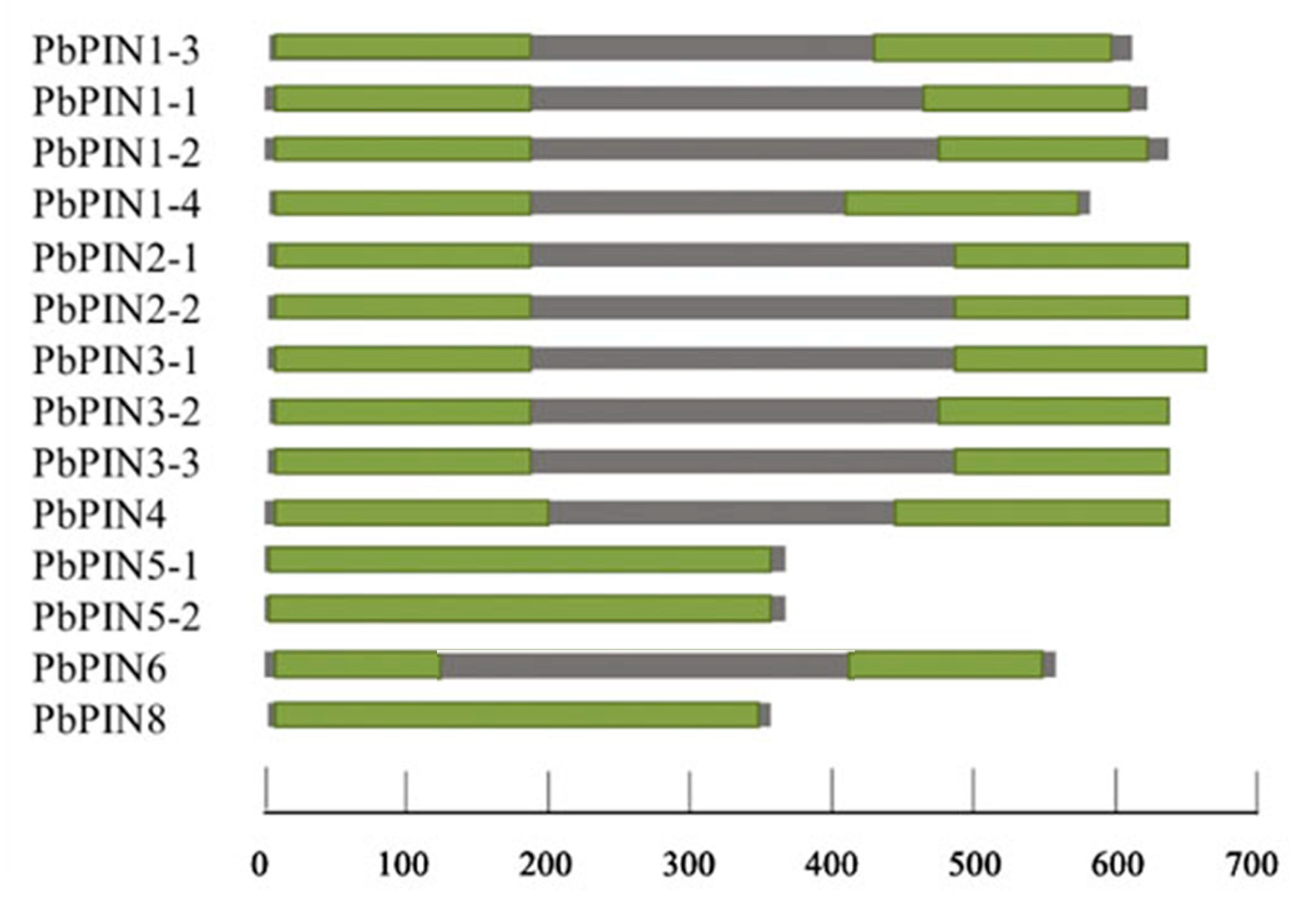 Plants 09 00349 g003 Plants 09 00349 g003